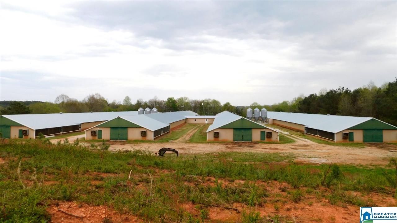 40 acres in Randolph County, Alabama