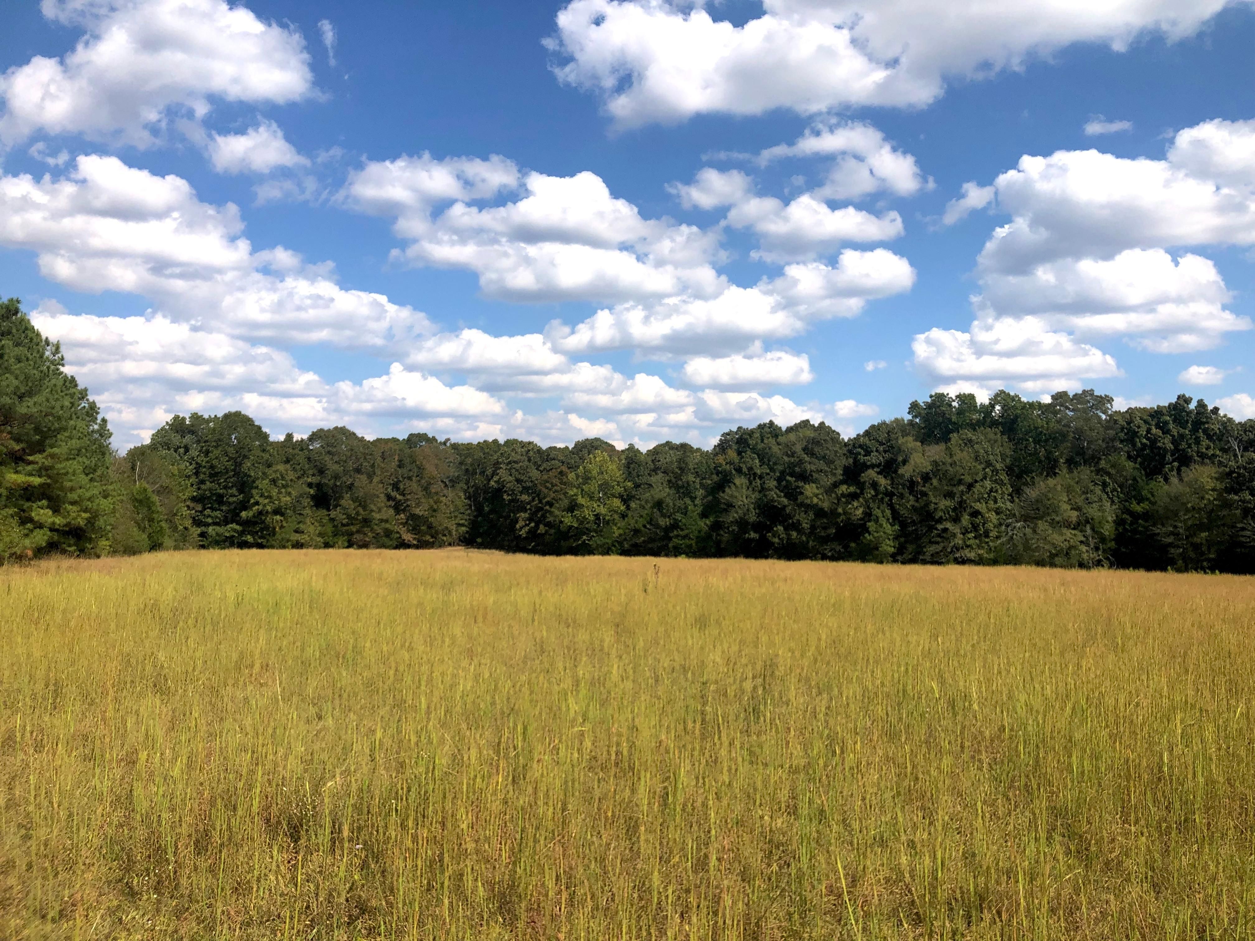 10 acres in Fayette County, Tennessee