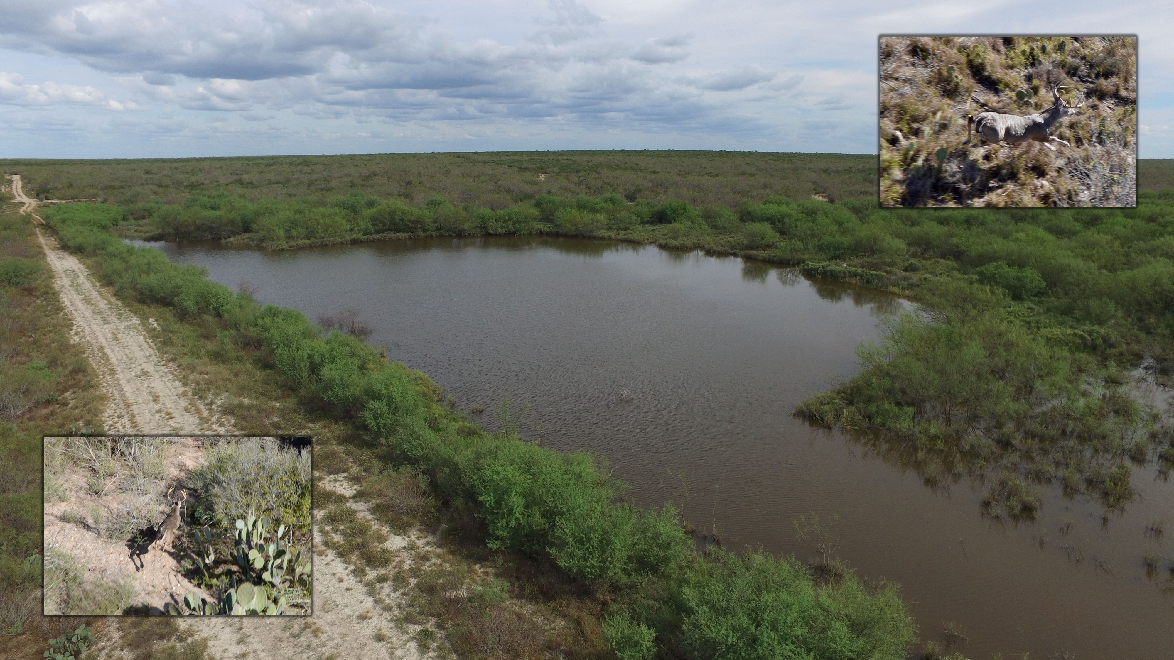 1566.97 acres in b County, Texas