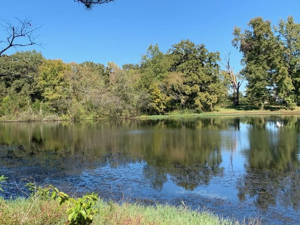 165.19 acres in Red River County, Texas