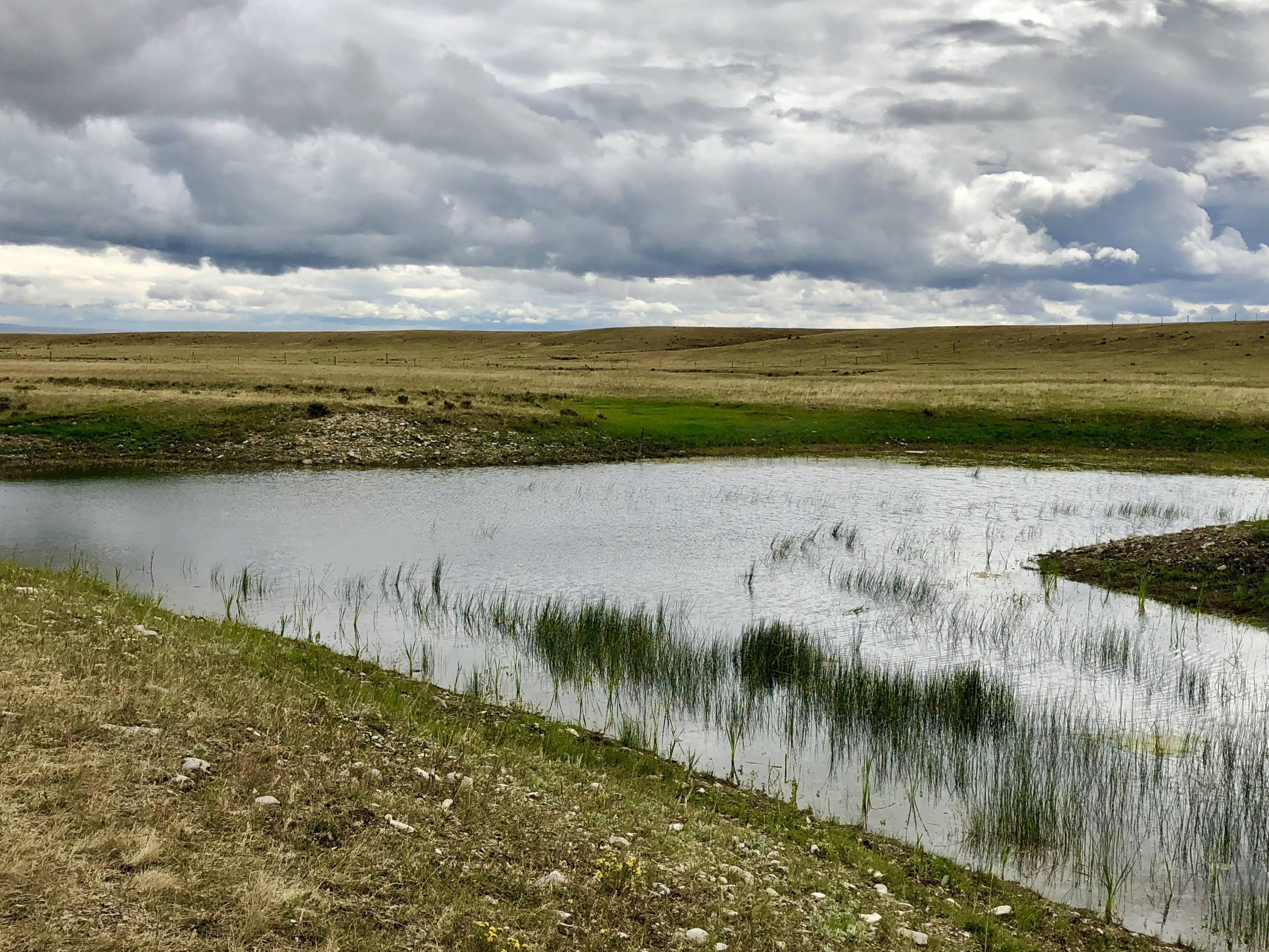 160 acres in Wheatland County, Montana