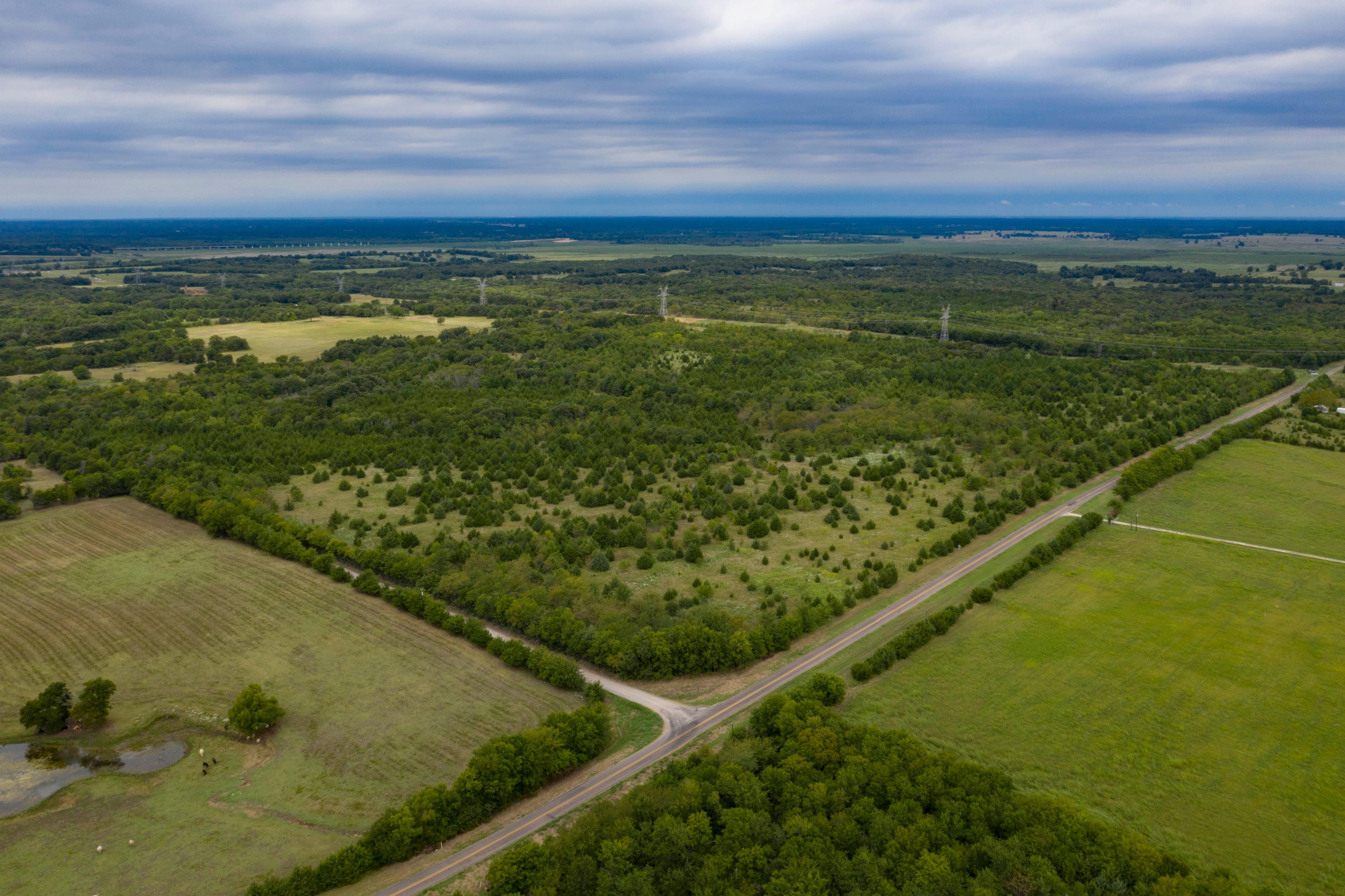 223 acres in Fannin County, Texas