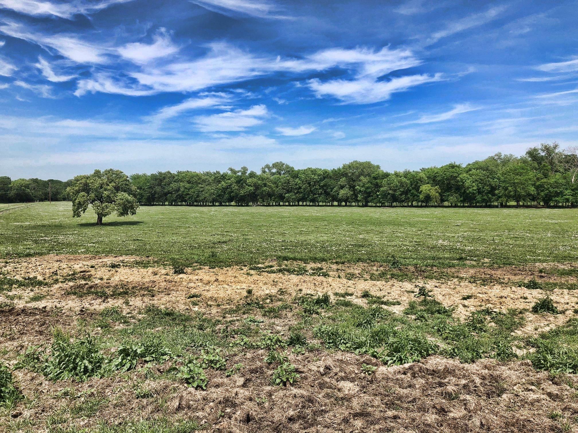 115 acres in Fannin County, Texas