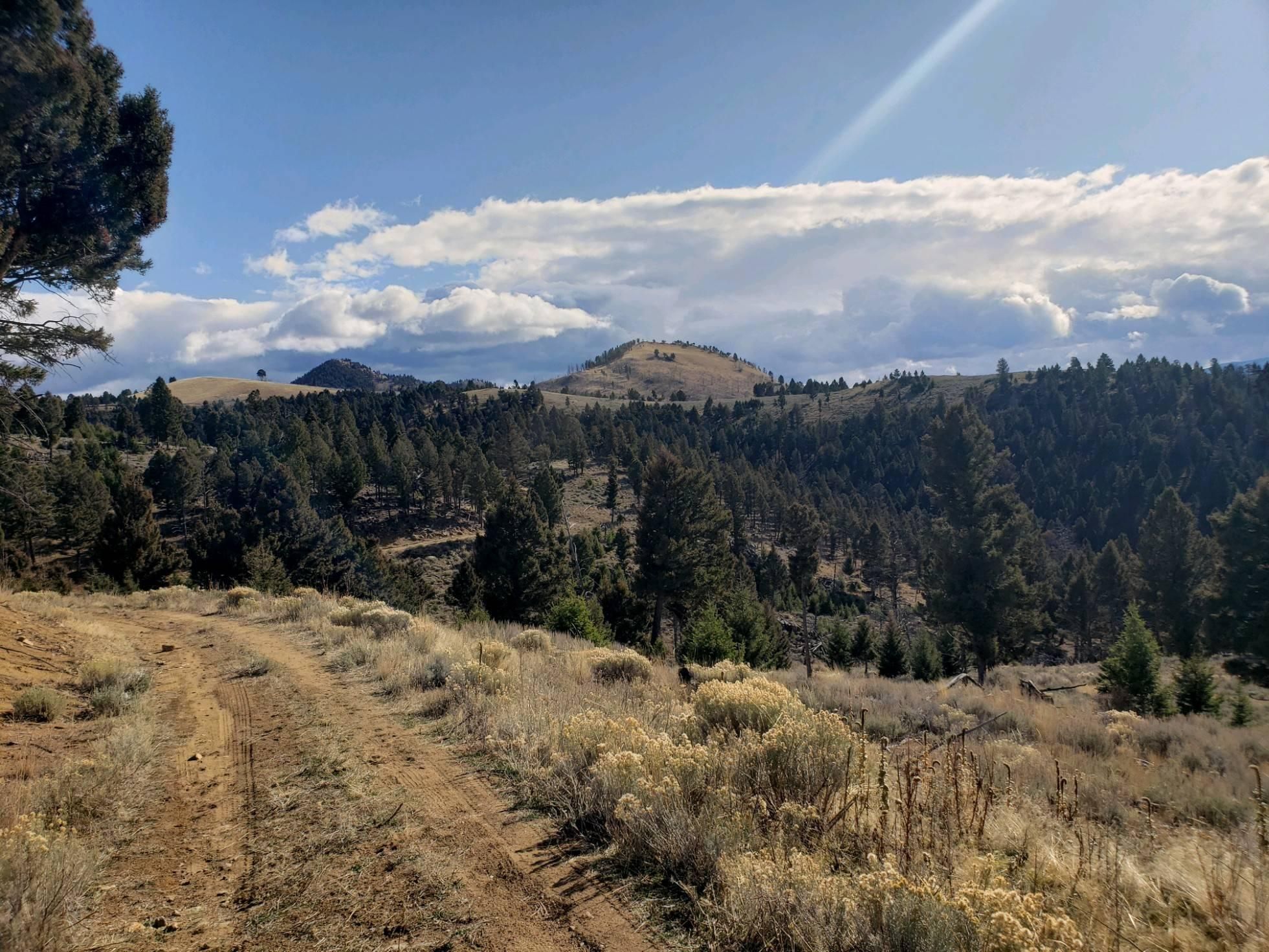 15.46 acres in Jefferson County, Montana