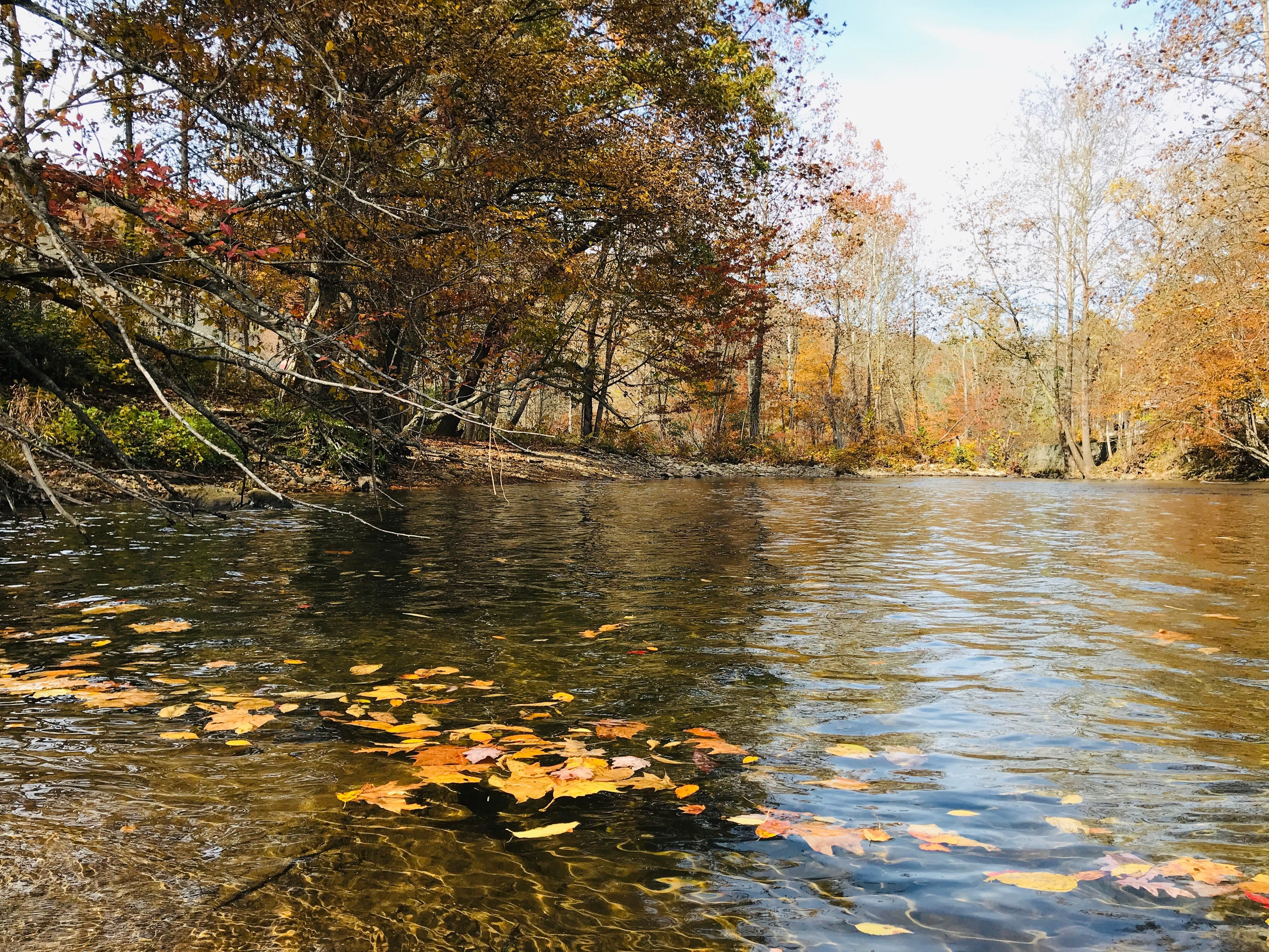 365 Acres In Yancey County North Carolina