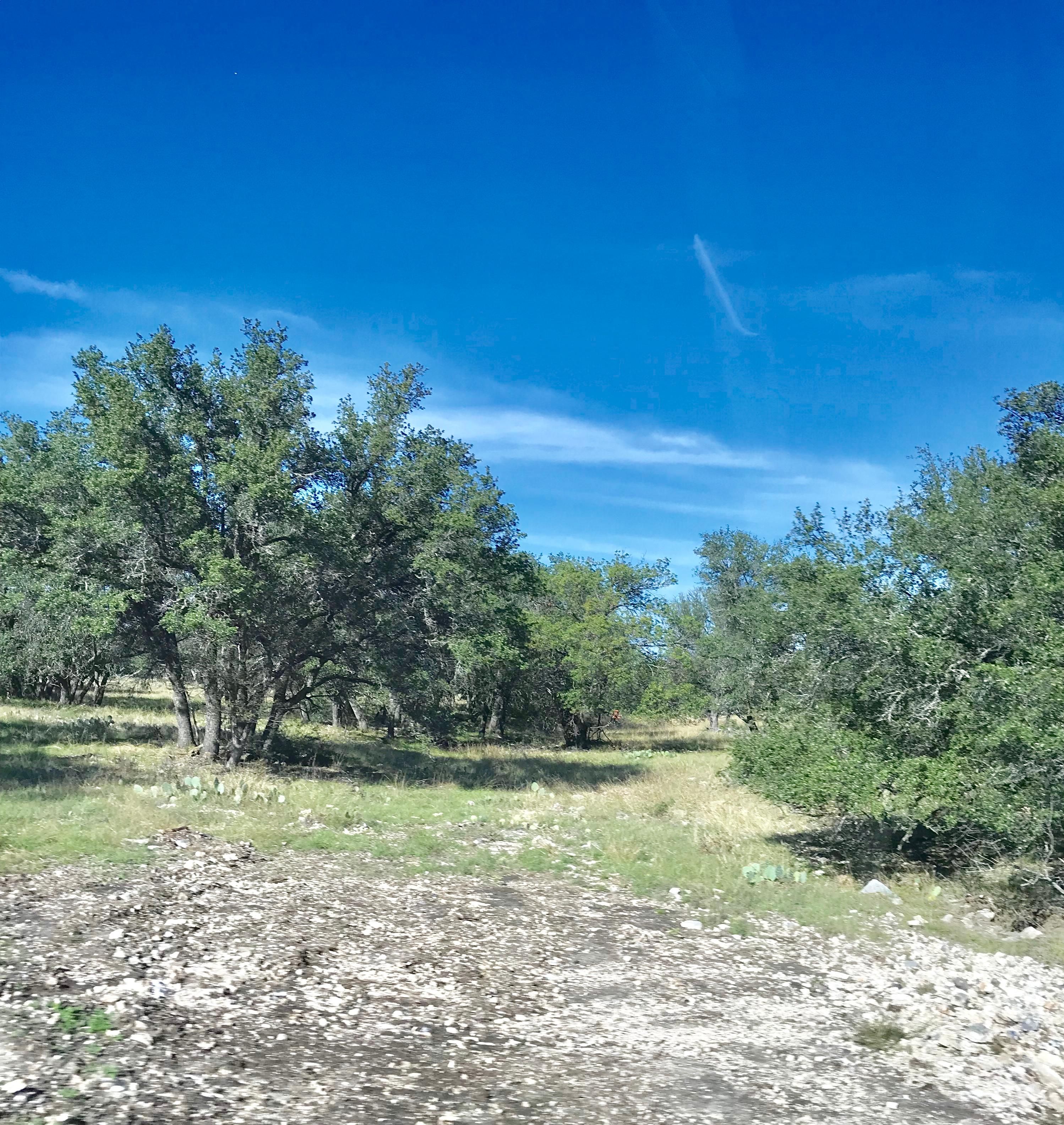 59.72 acres in Menard County, Texas