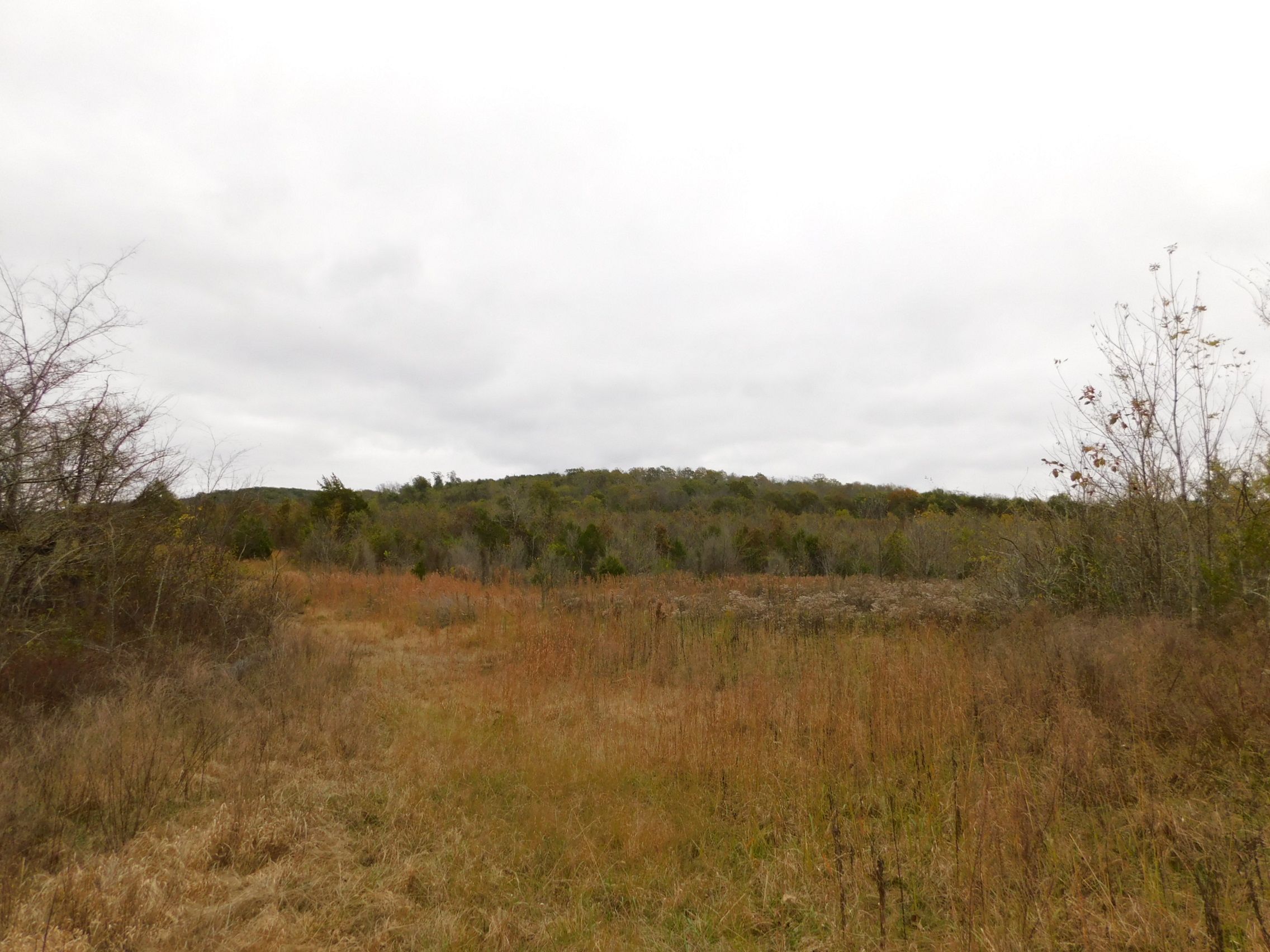 40 acres in Franklin County, Alabama