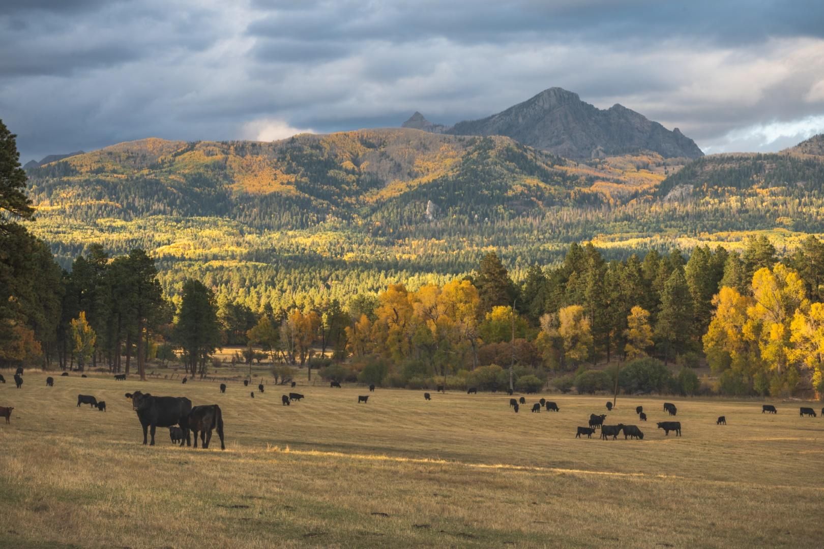 1,511 acres in Archuleta County, Colorado
