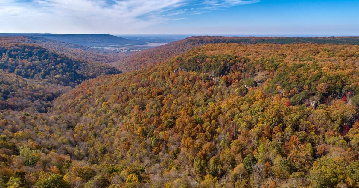 10 acres in Grundy County, Tennessee