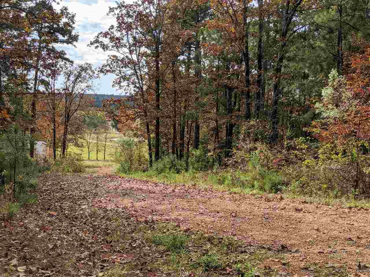 8.19 acres in Harrison County, Texas