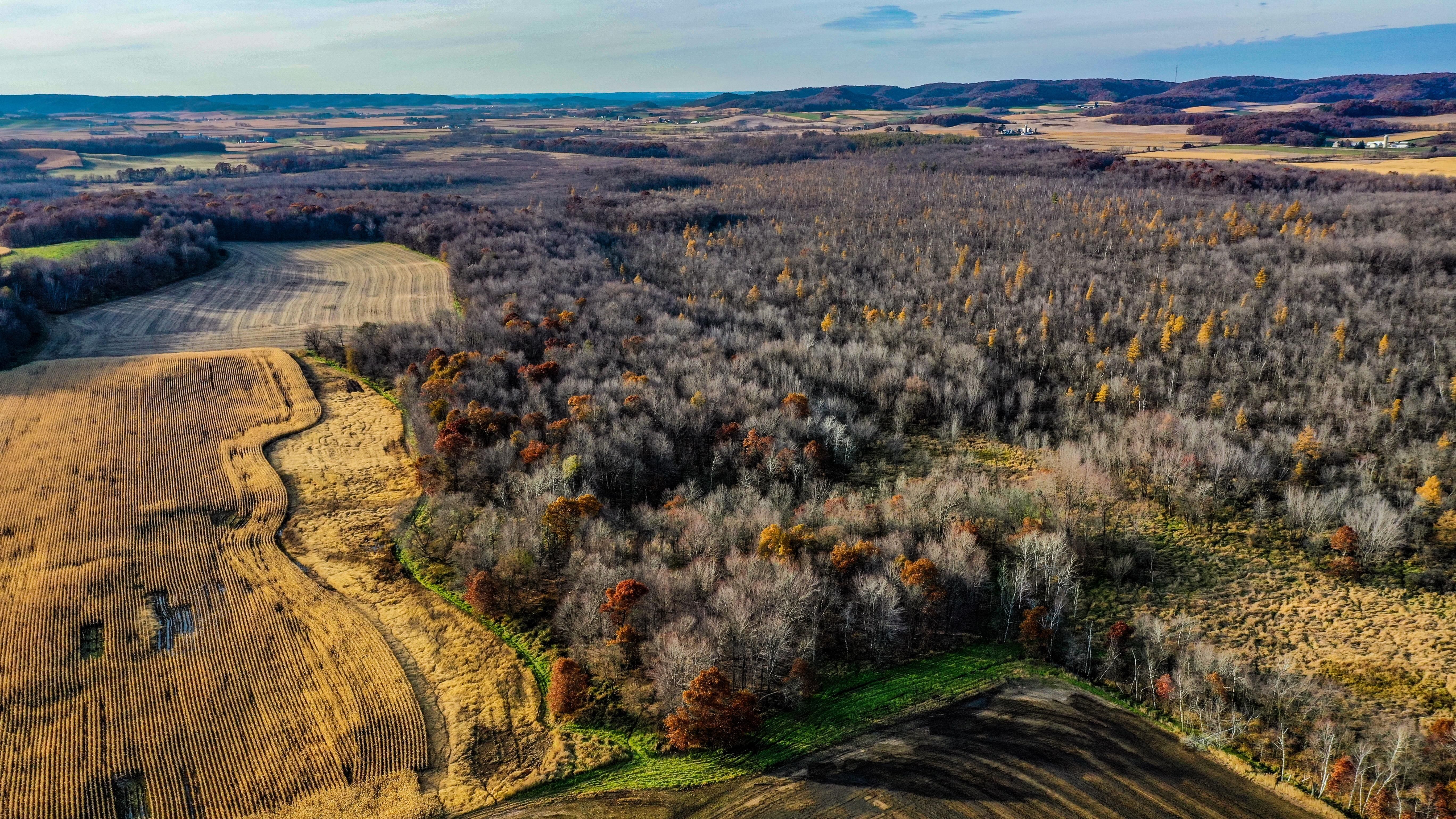 50.00 acres in Buffalo County, Wisconsin