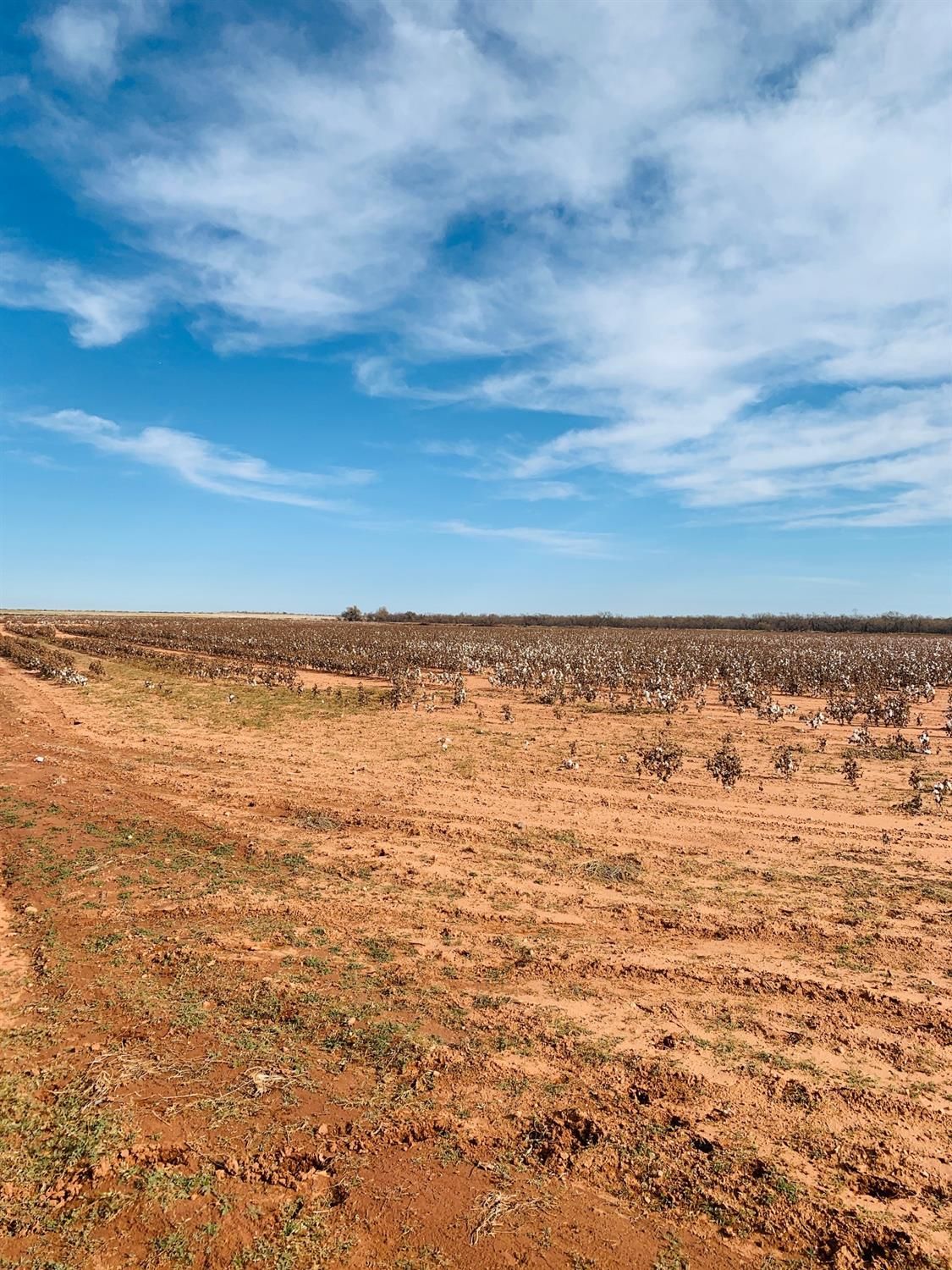 160 acres in Kent County, Texas