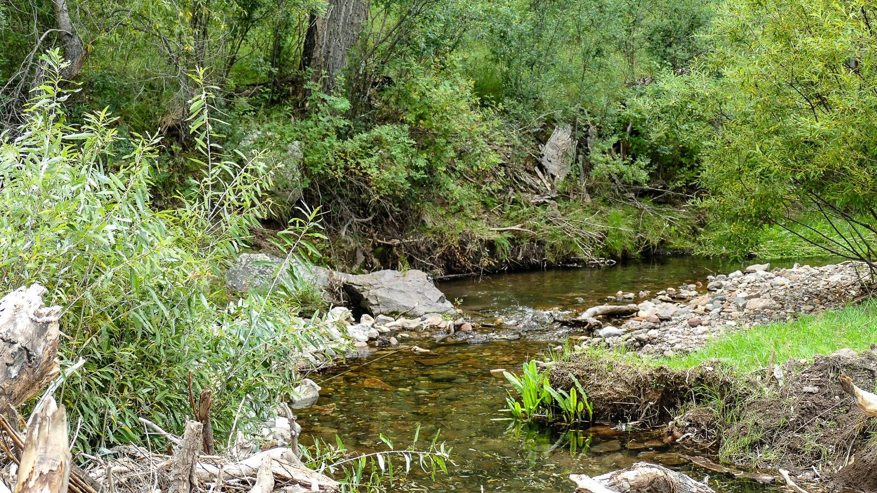 40 acres in Grant County, New Mexico
