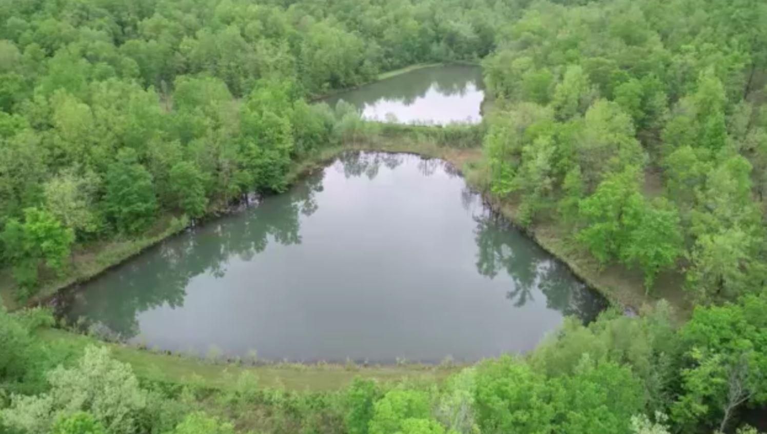 162 acres in Butler County, Missouri