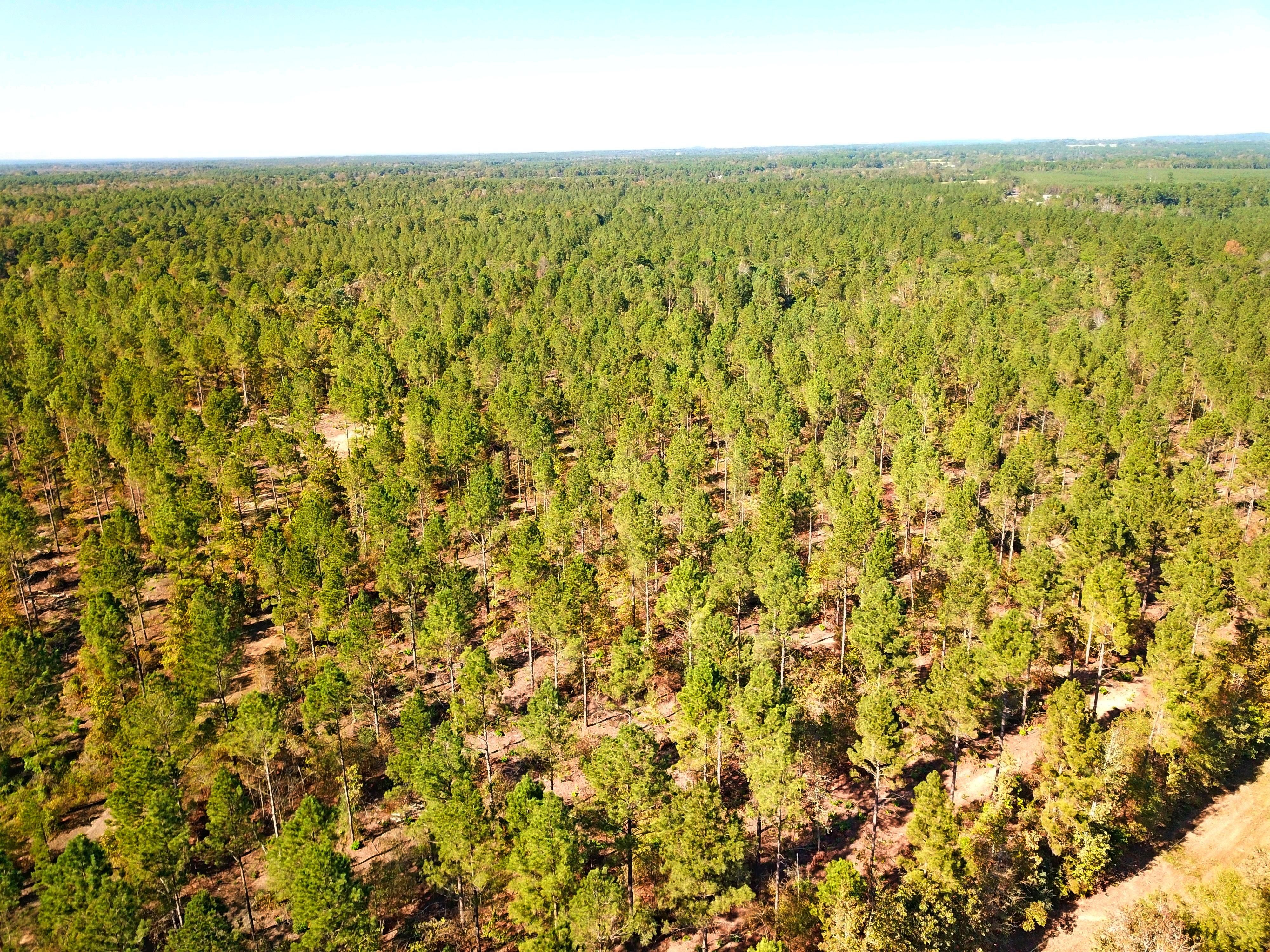 58 acres in Nacogdoches County, Texas