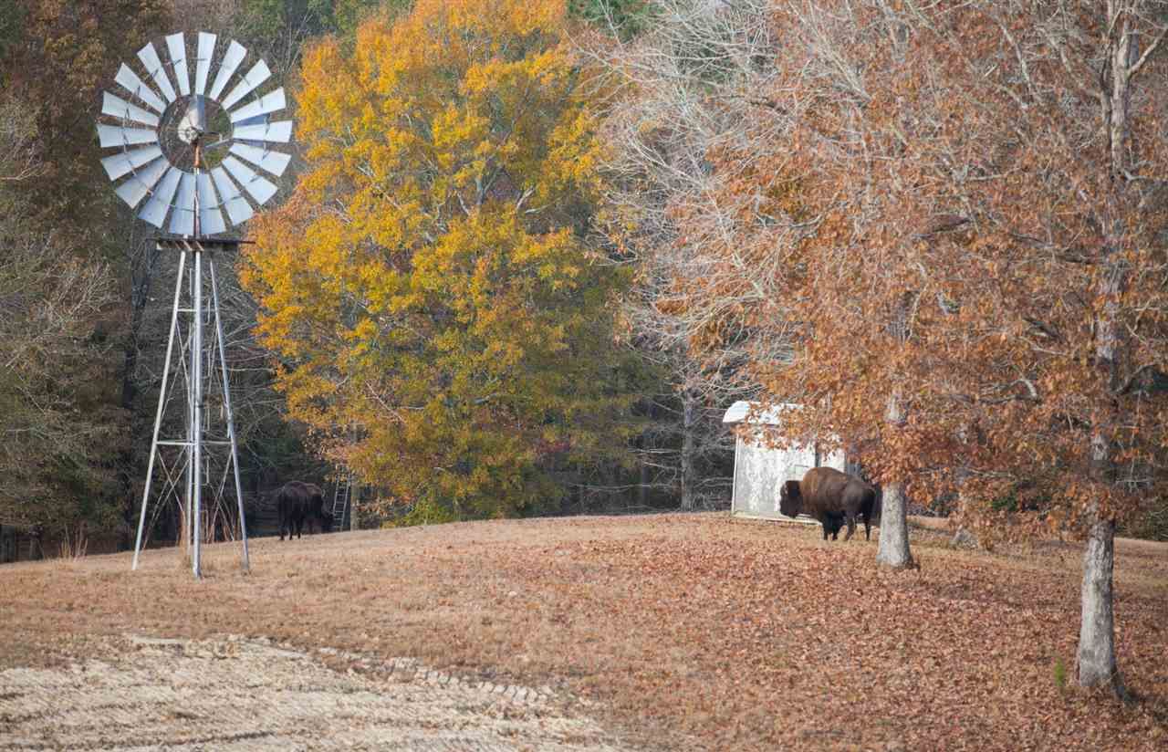 457 acres in Simpson County, Mississippi