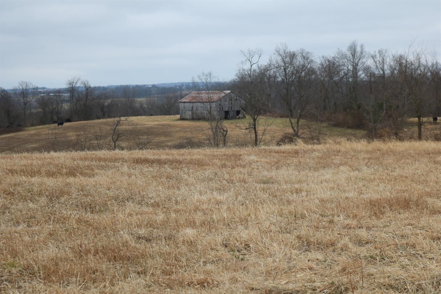 299 acres in Nicholas County, Kentucky
