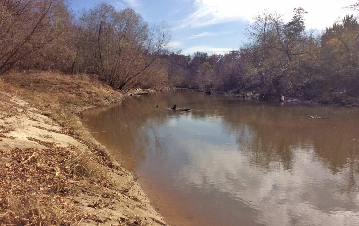 81 acres in Marengo County, Alabama