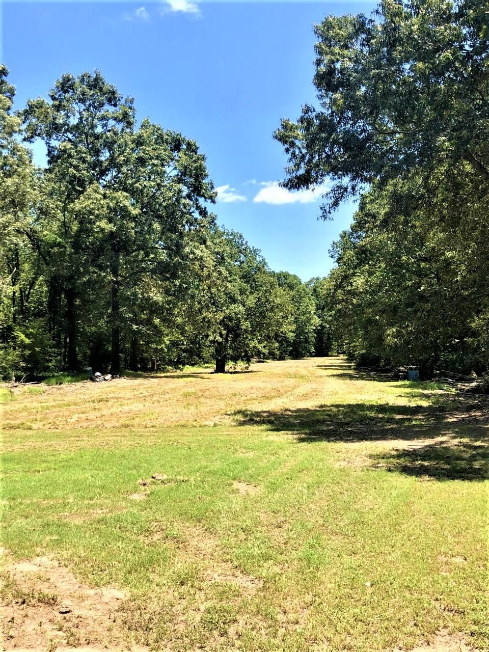 20.00 acres in Red River County, Texas