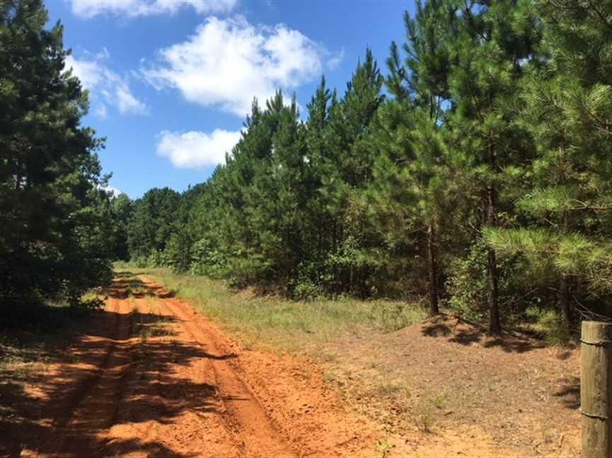 108 acres in San Augustine County, Texas
