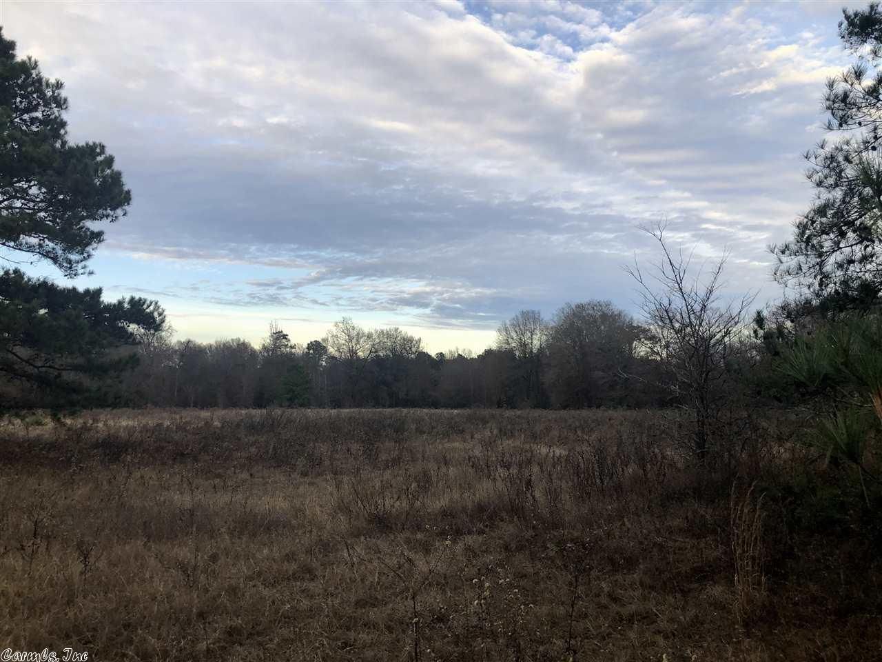 38 acres in Cass County, Texas