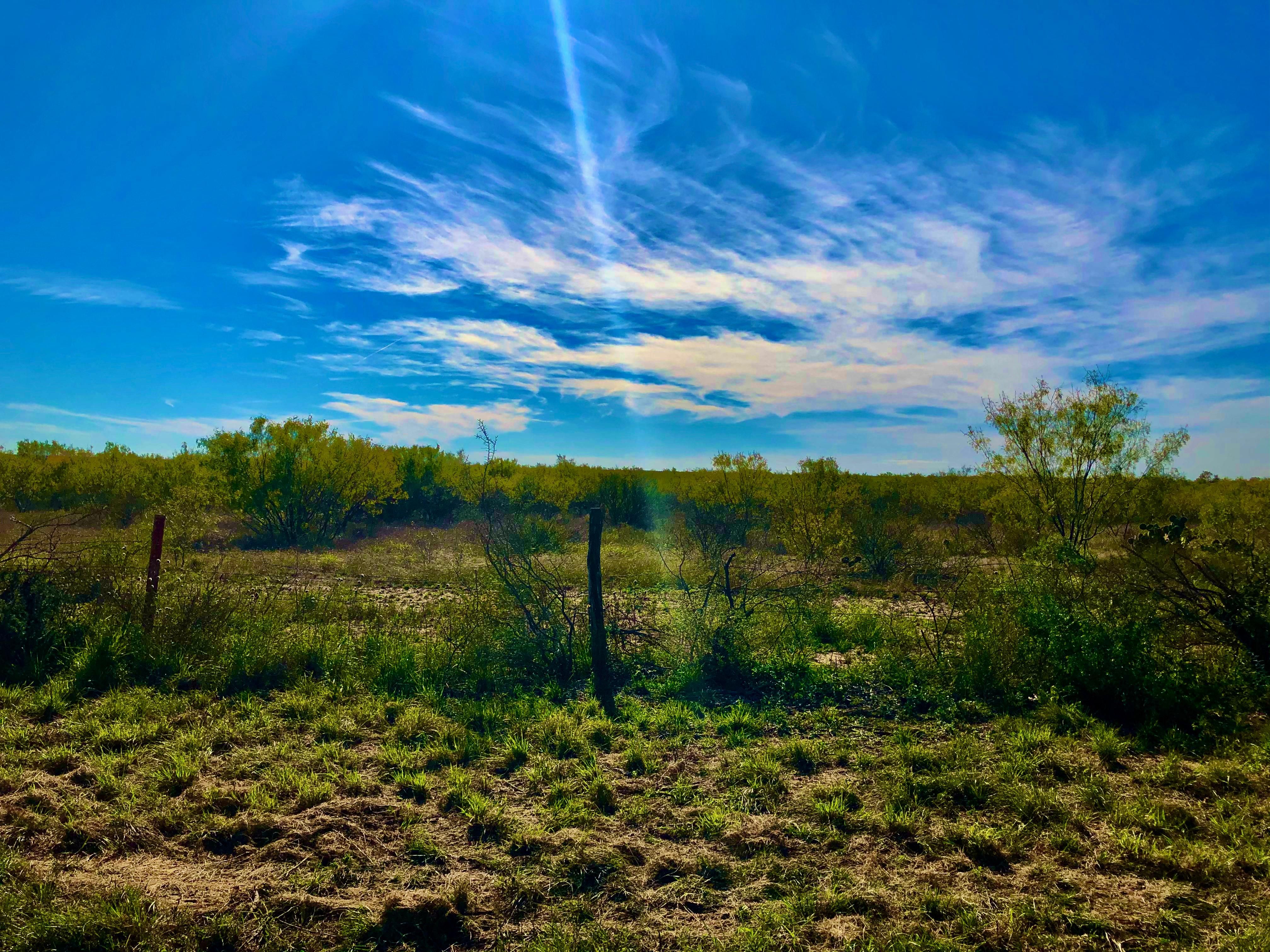 30 acres in Atascosa County, Texas