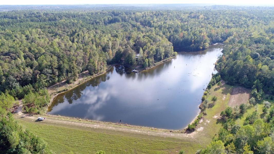 90 00 Acres In Elmore County Alabama