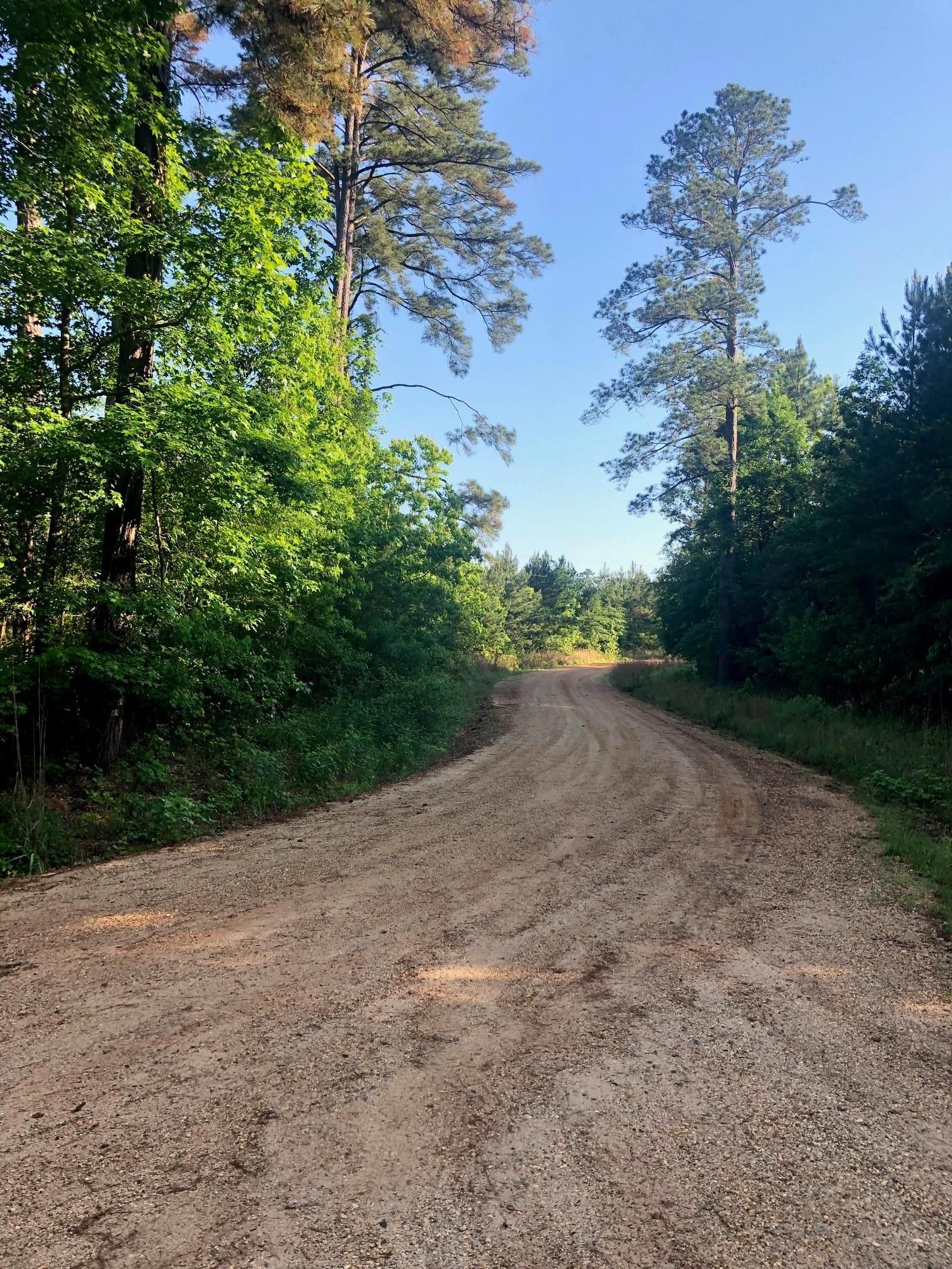 15.7 acres in Union Parish, Louisiana