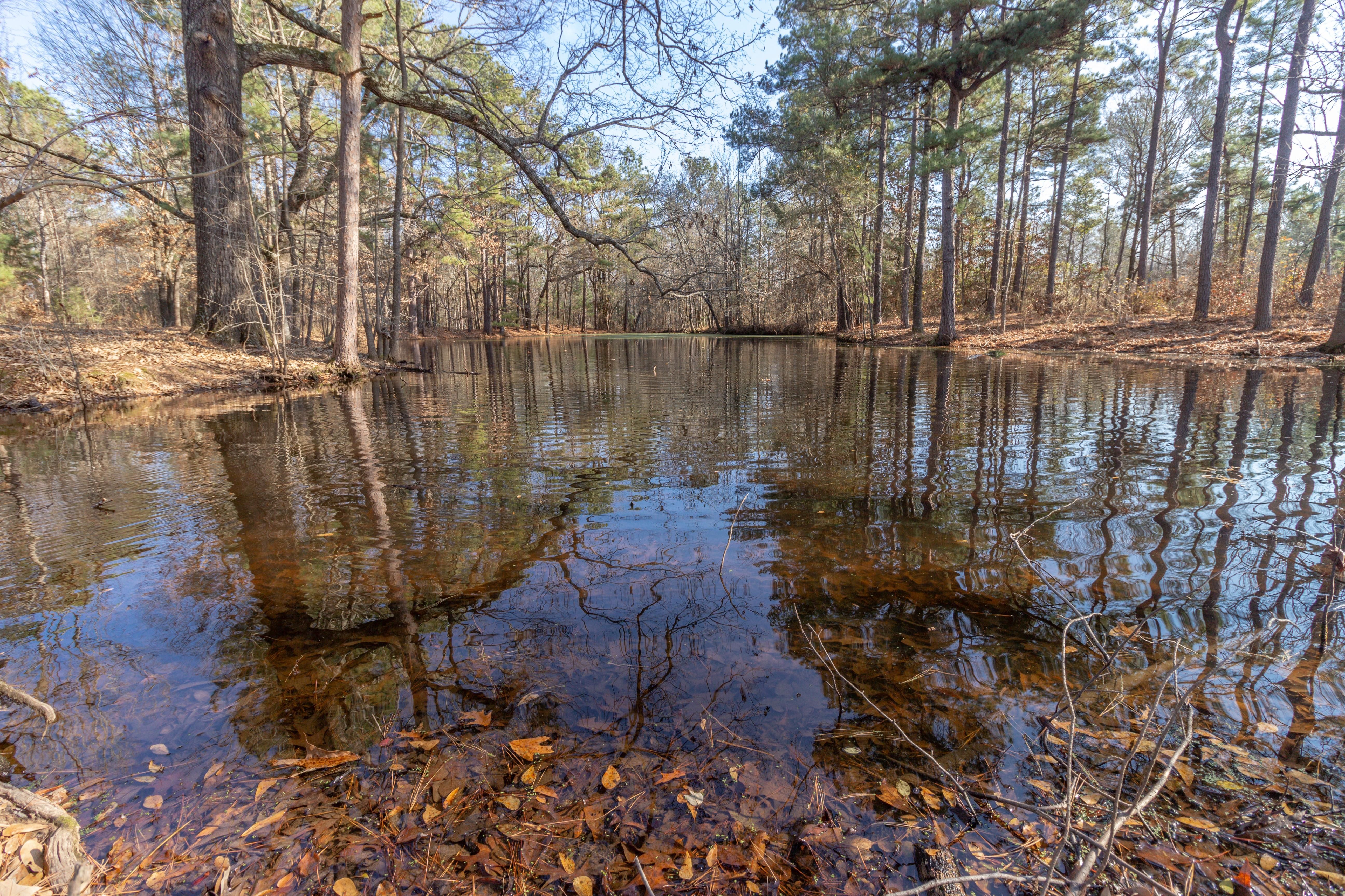 242.15 acres in Red River County, Texas