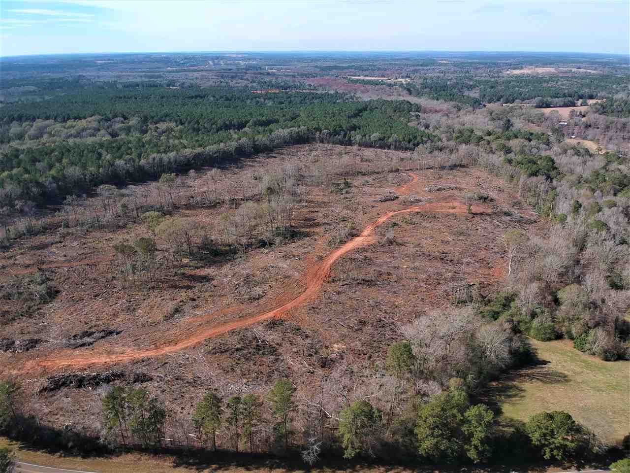 50 acres in San Augustine County, Texas