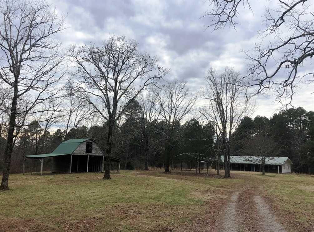 62 acres in Wayne County, Missouri