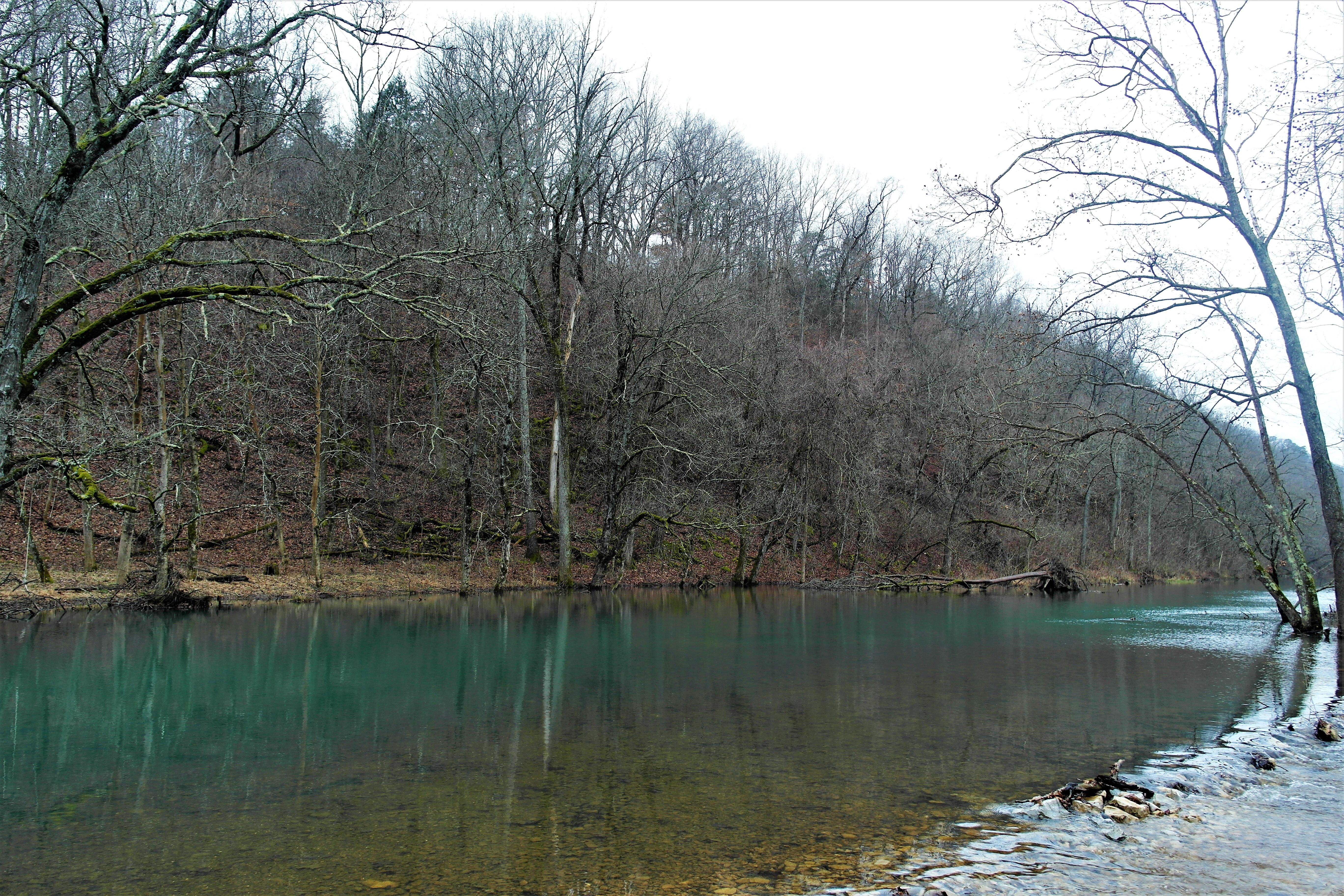 11 acres in Oregon County, Missouri