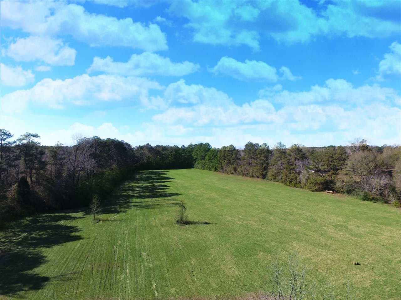 44 acres in Newton County, Texas
