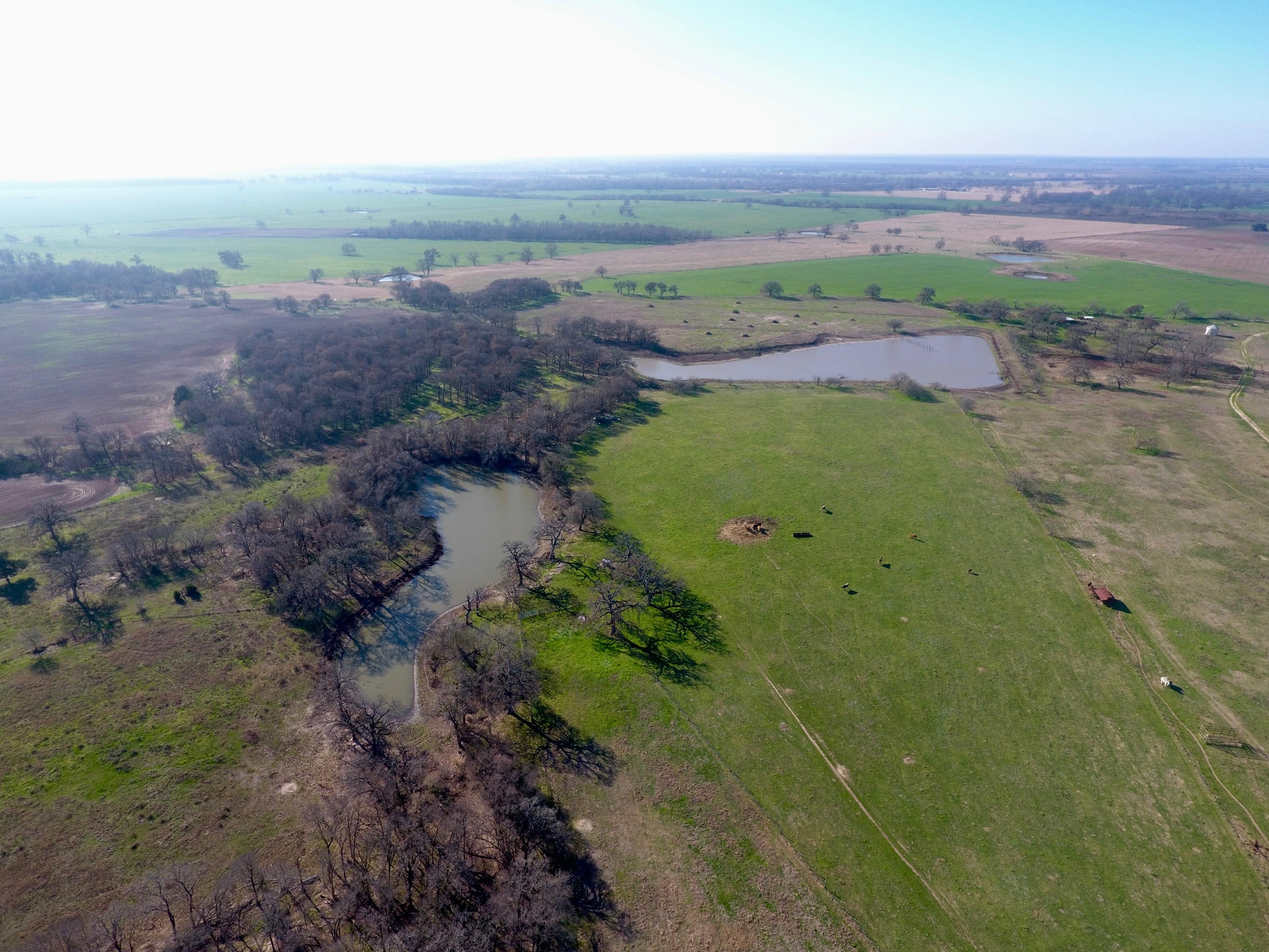 110 Acres In Falls County Texas