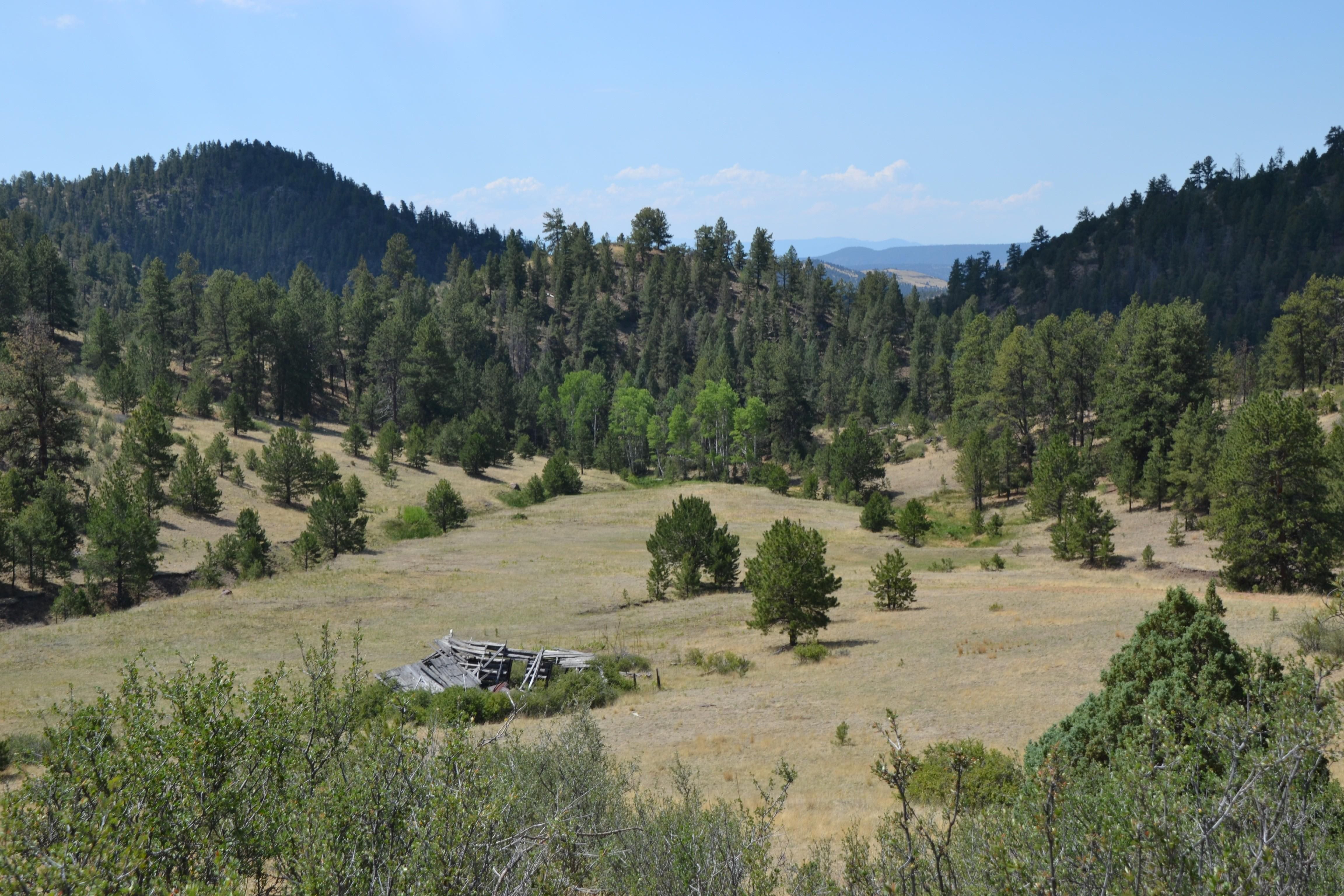72.65 acres in Teller County, Colorado