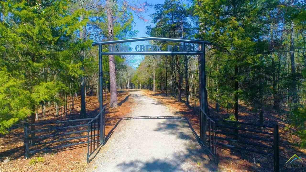 56 acres in Camp County, Texas