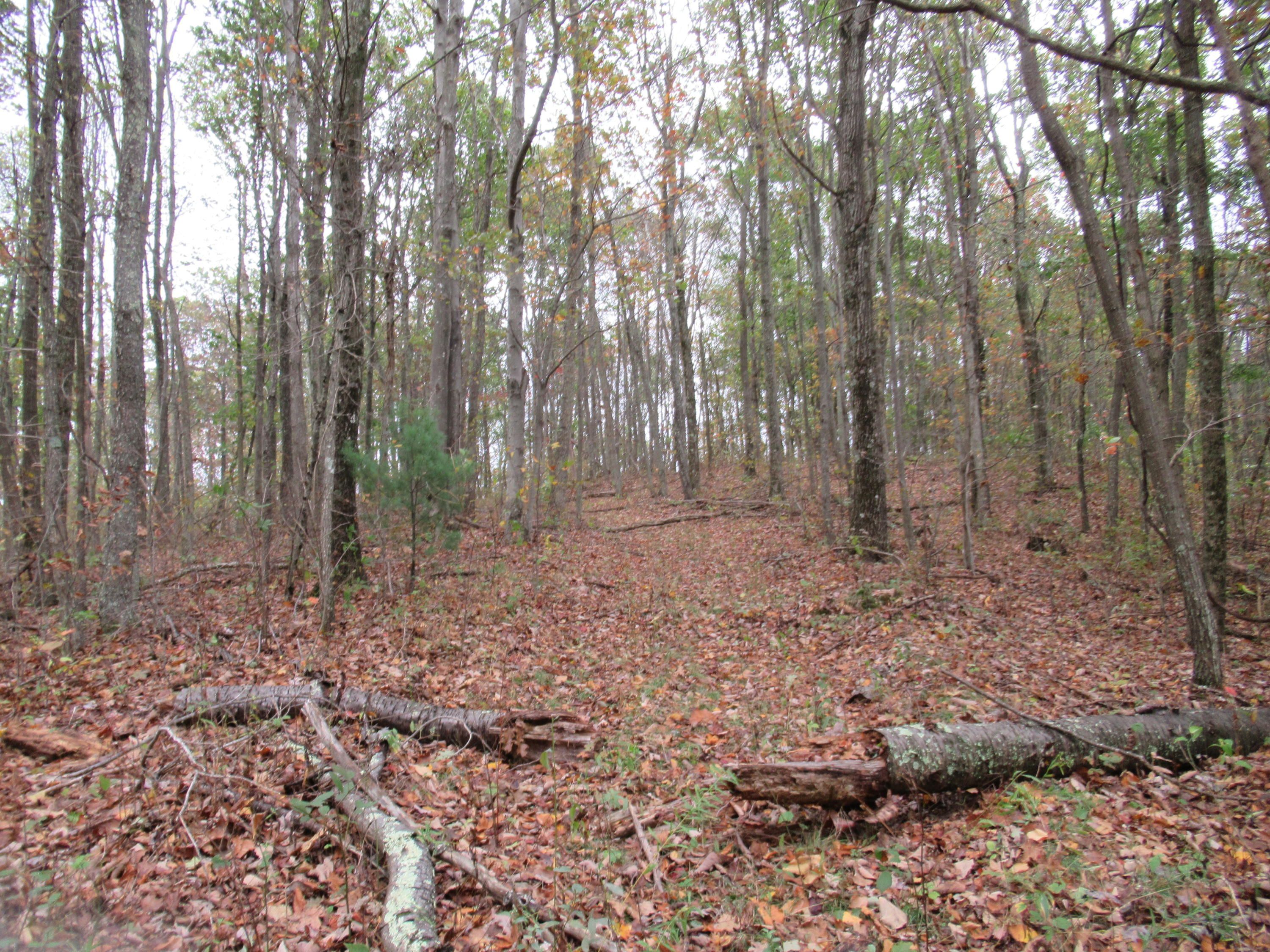 60.34 acres in Greenbrier County, West Virginia