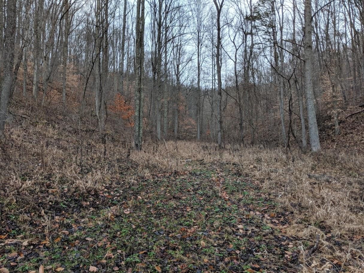 28.87 acres in Ritchie County, West Virginia