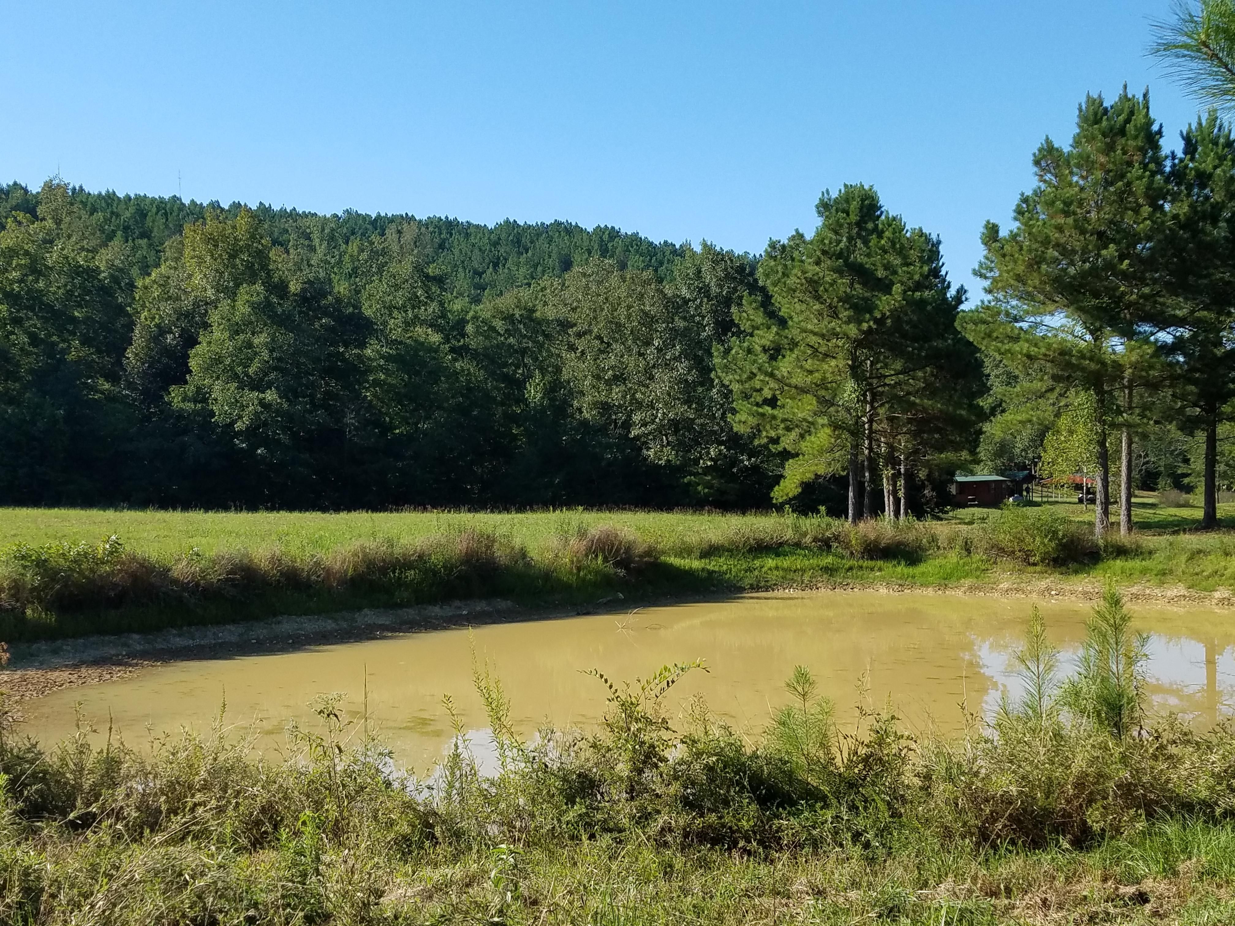120 acres in Calhoun County, Alabama