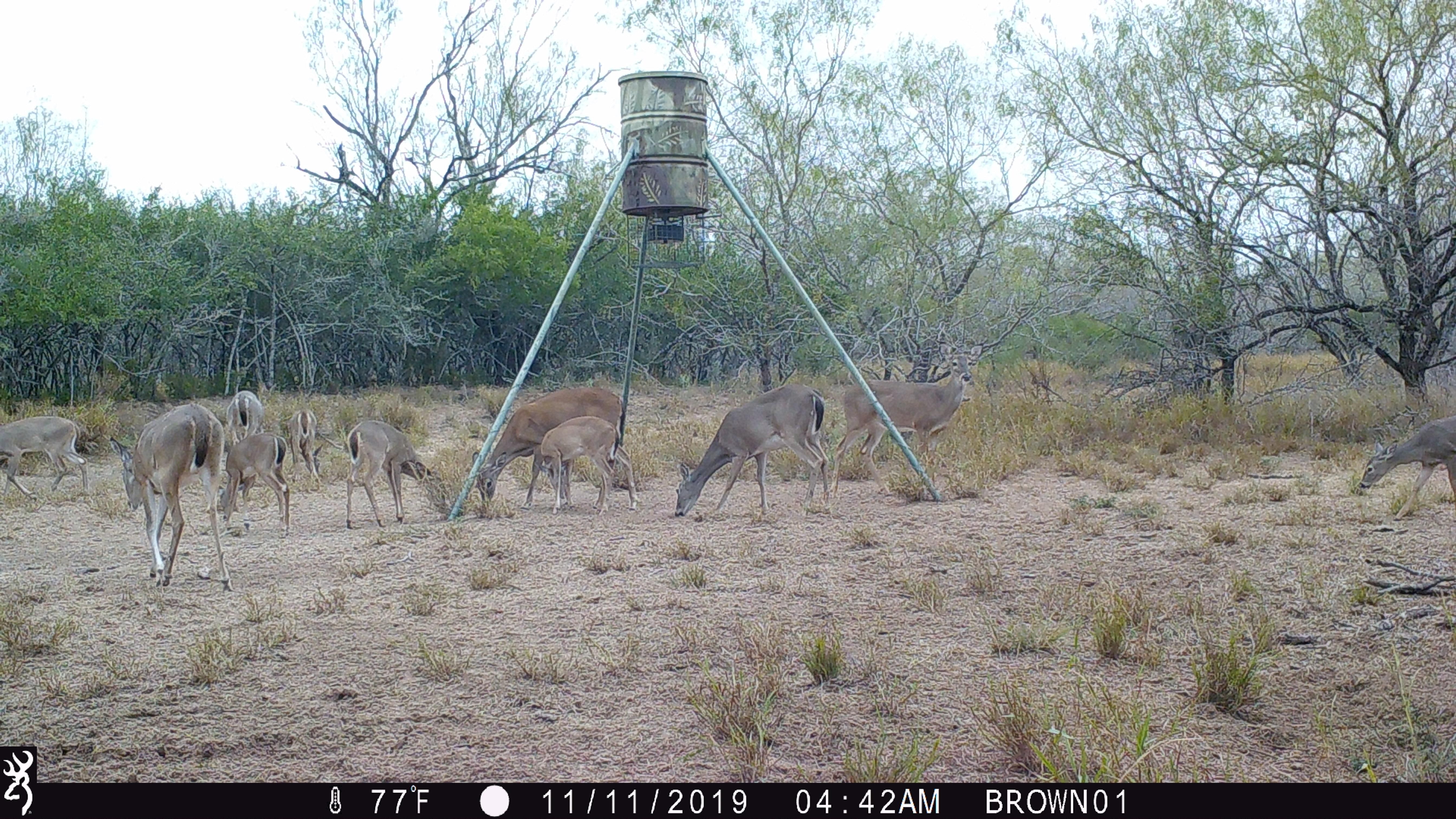 137 acres in Starr County, Texas