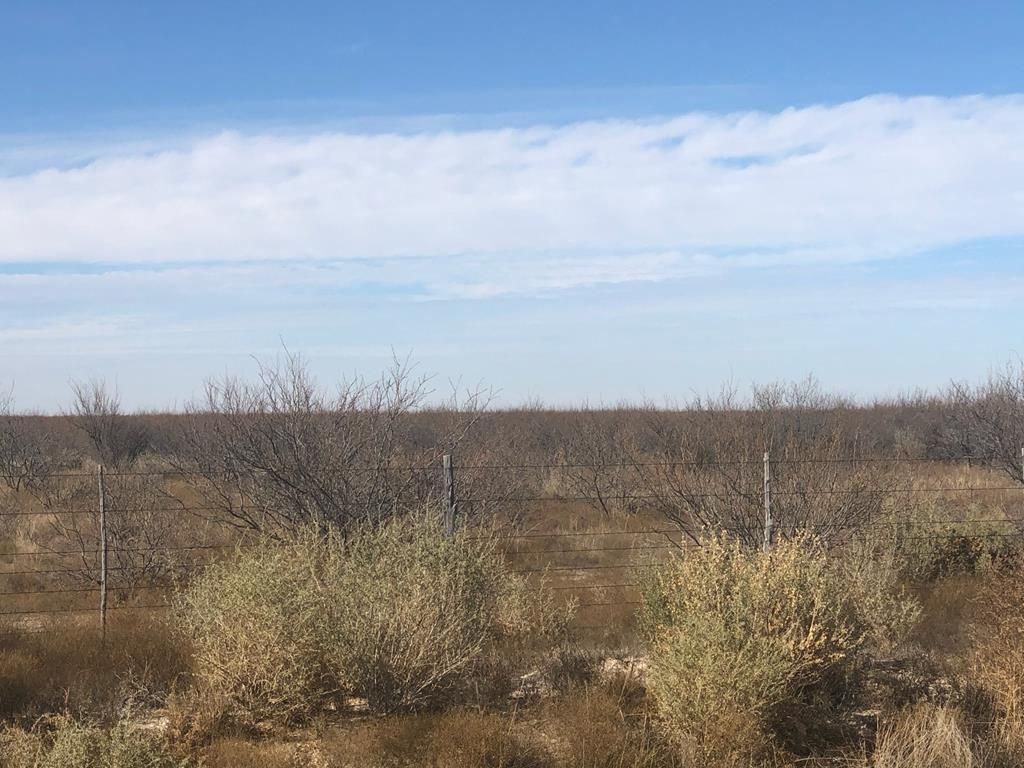 40 acres in Pecos County, Texas