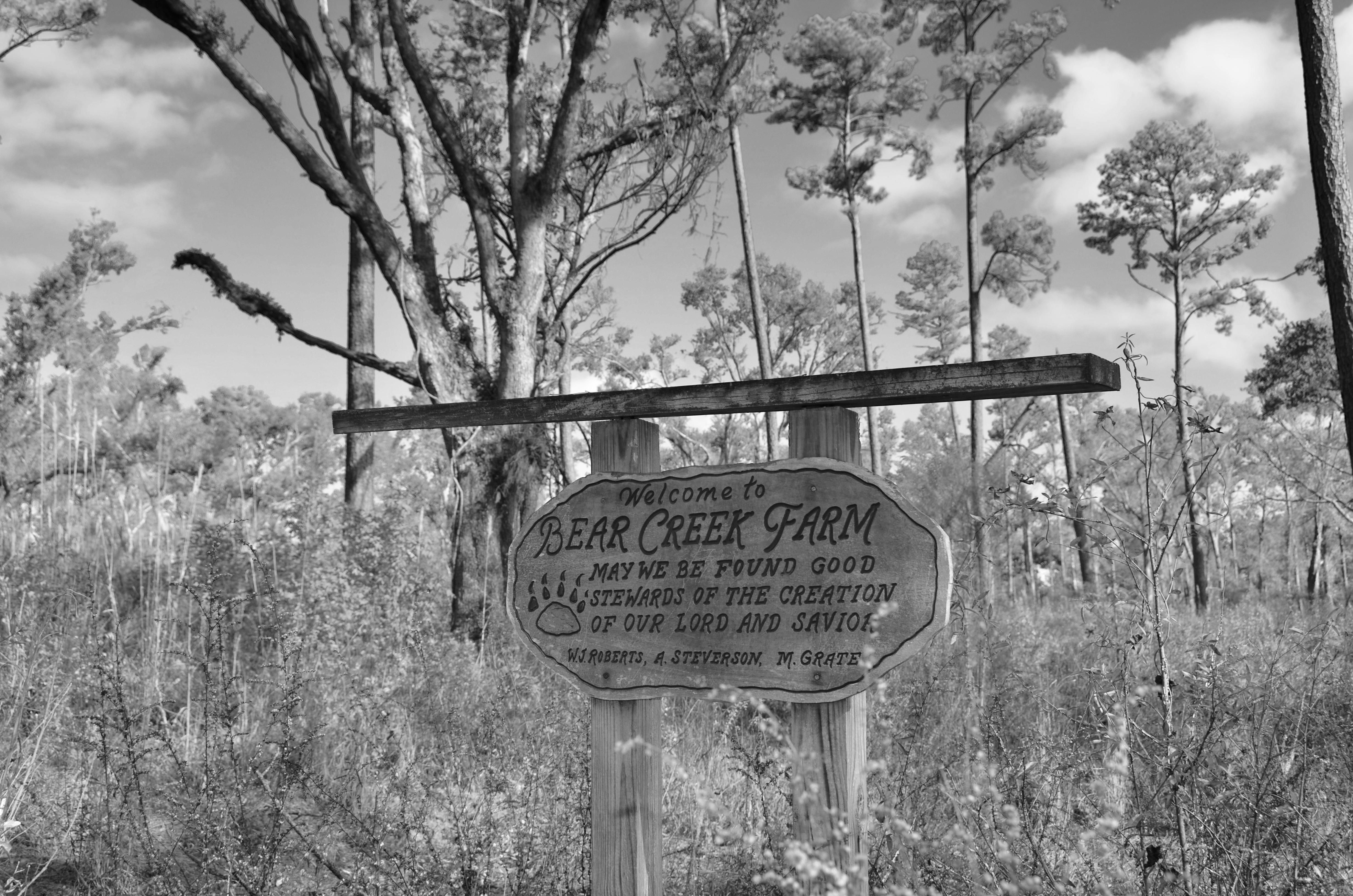 620 acres in Gadsden County, Florida