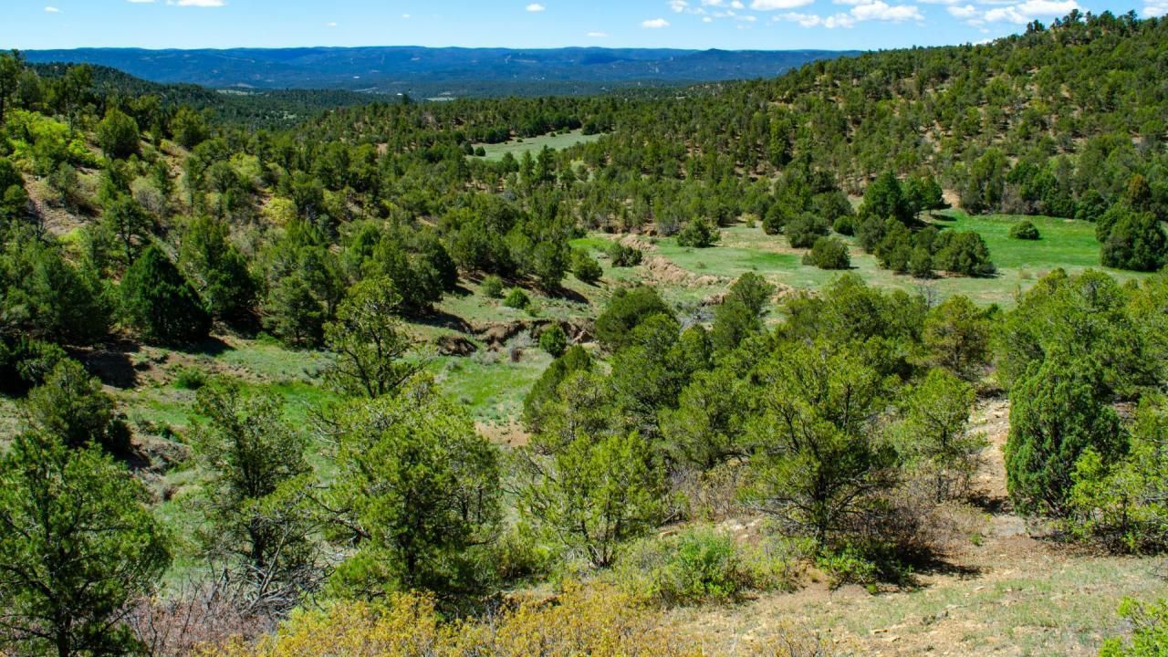 120 acres in Las Animas County, Colorado