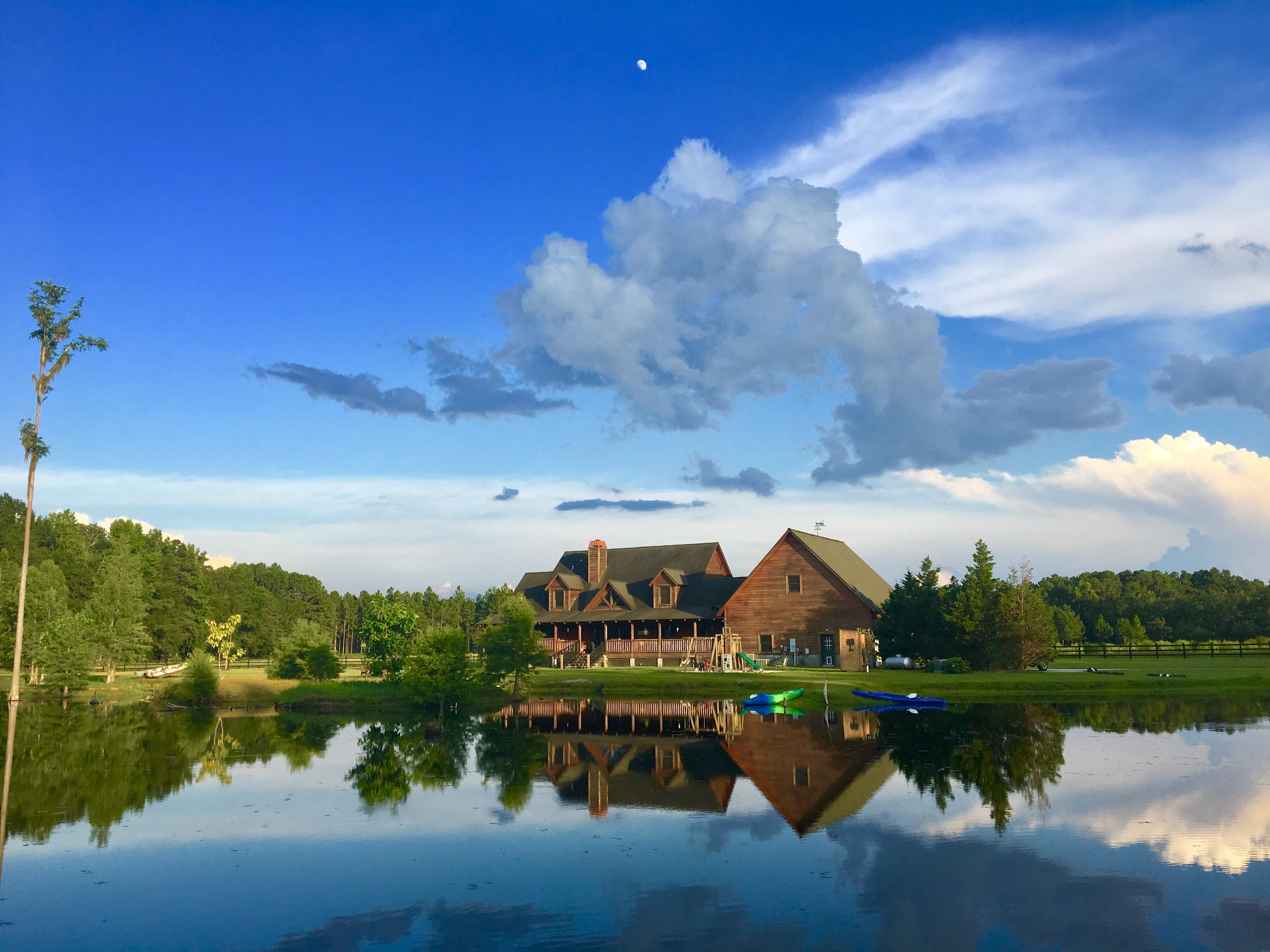 230 acres in Hampton County, South Carolina