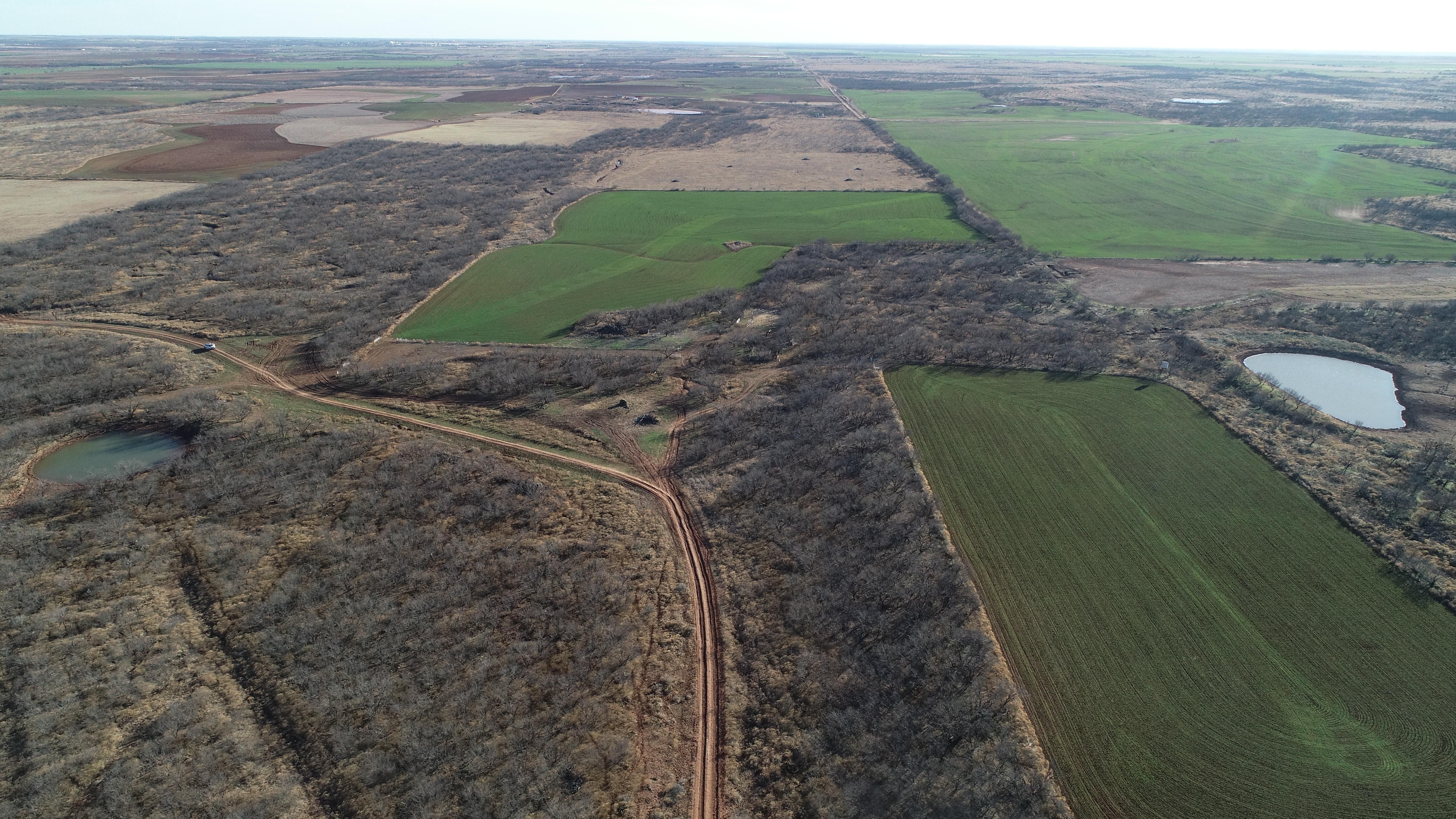 220 acres in Archer County, Texas
