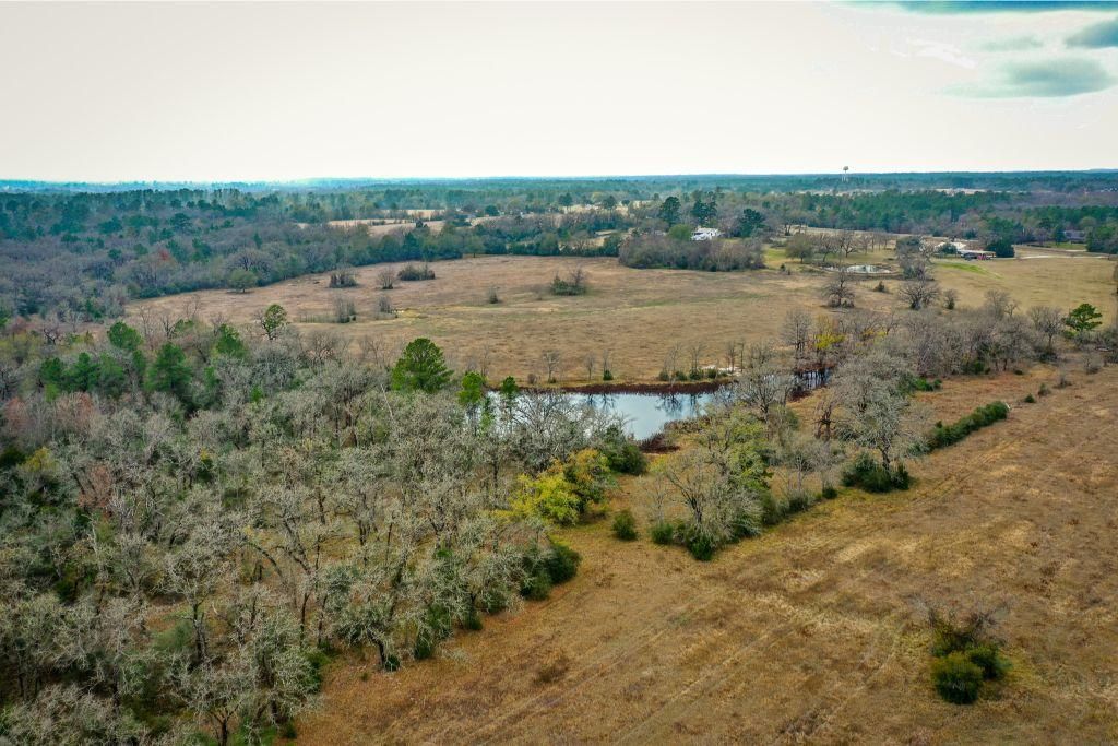 78.58 acres in Walker County, Texas