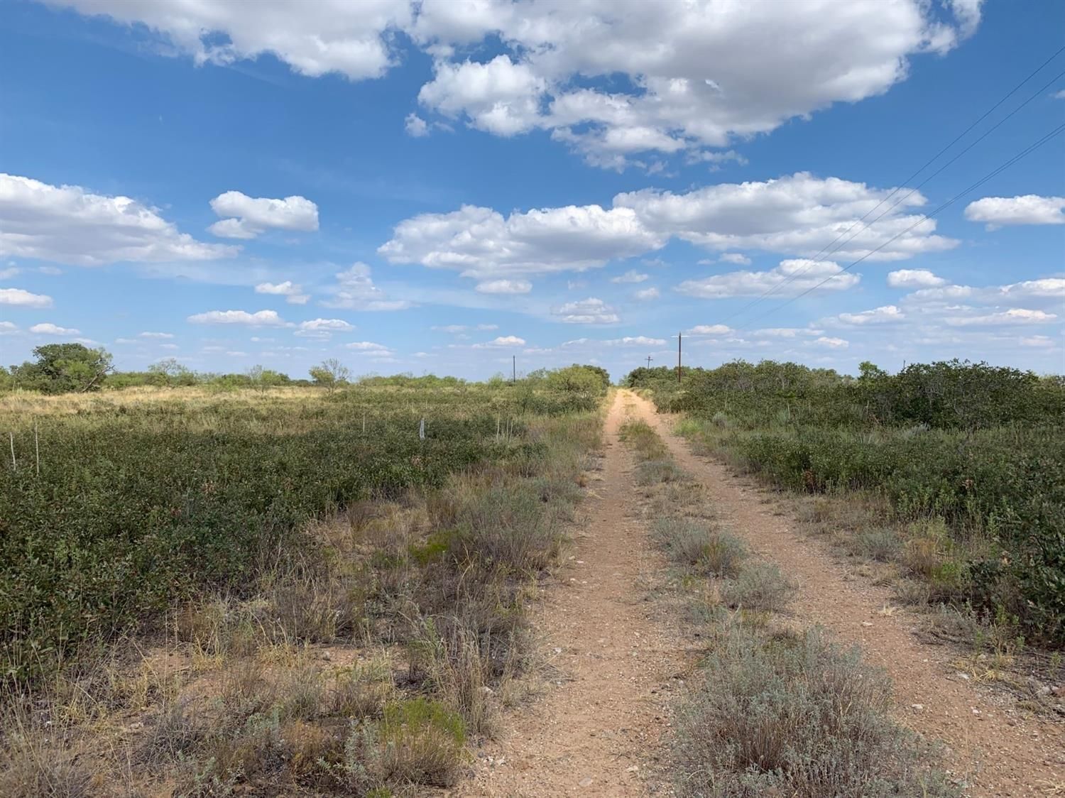 359.16 acres in Dickens County, Texas