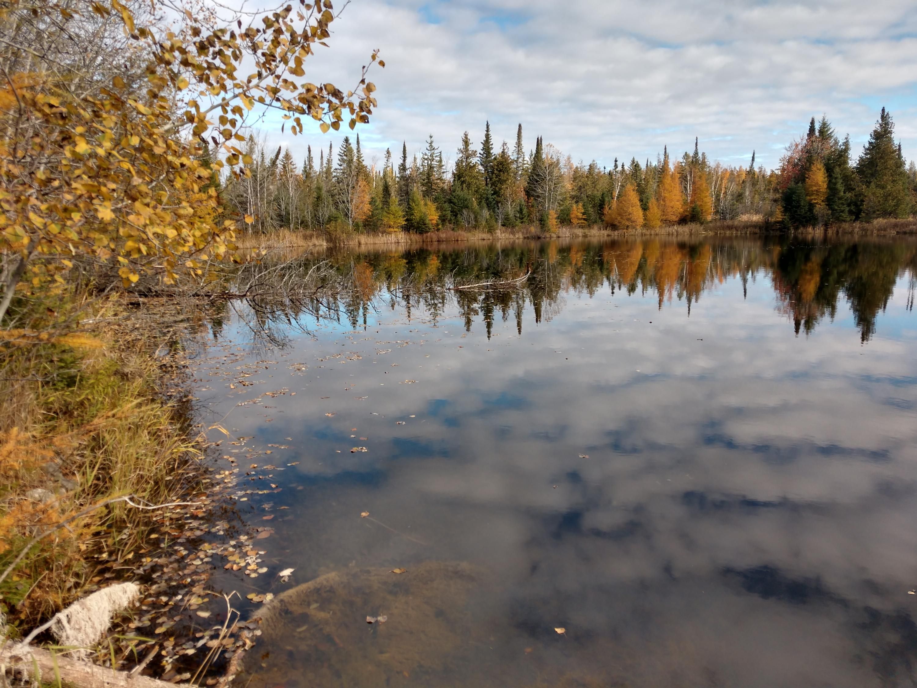 140 acres in Montmorency County, Michigan
