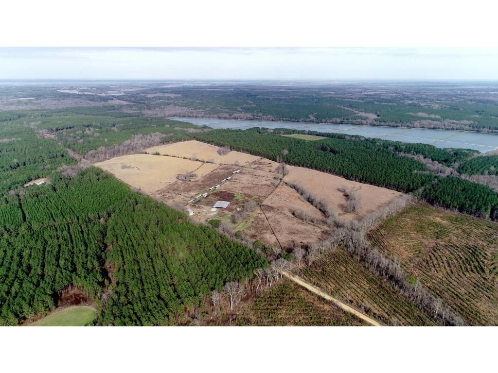 80 acres in Kemper County, Mississippi