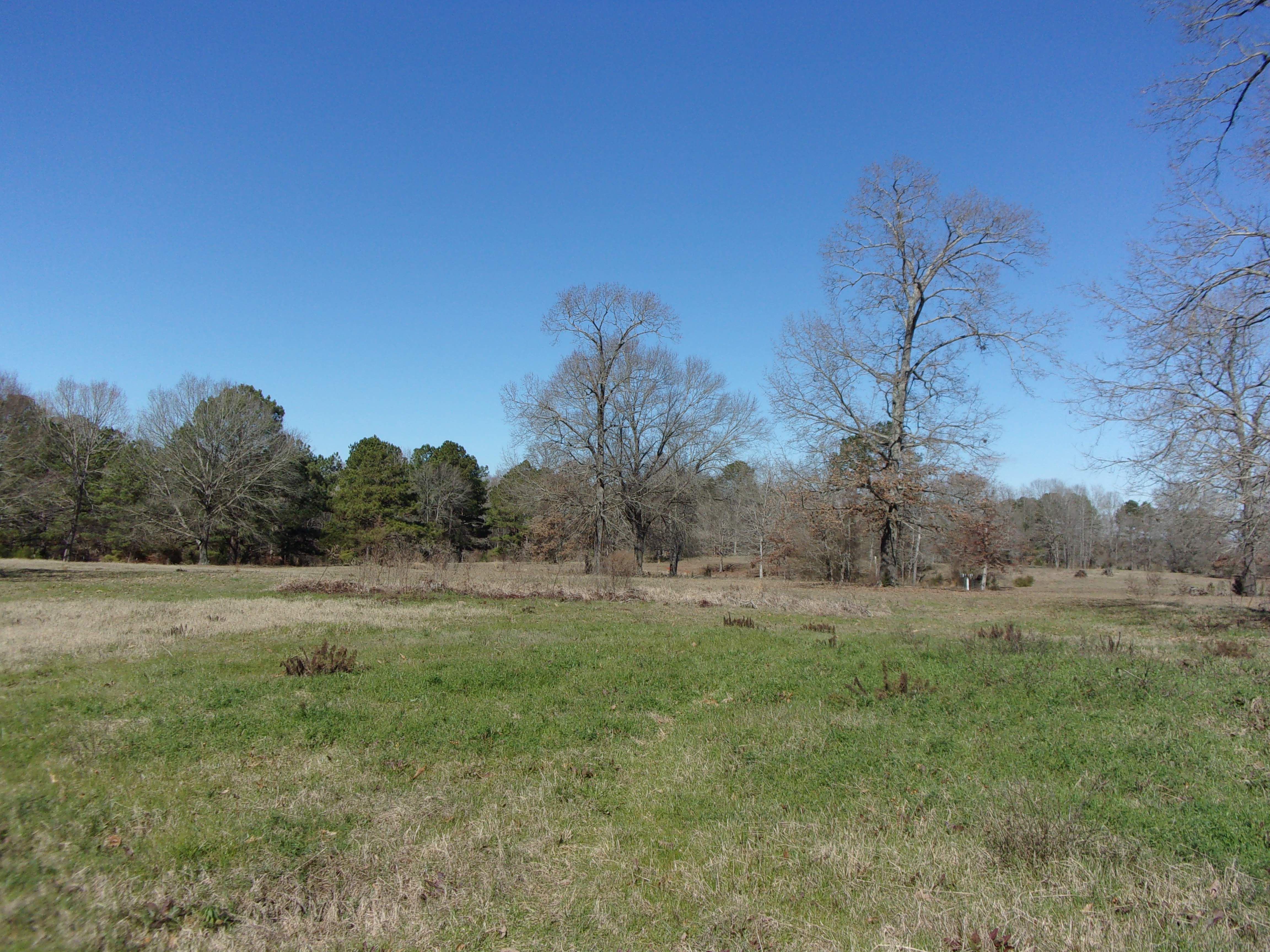 38 acres in Marion County, Texas